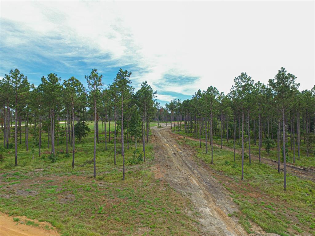 006 Nelson Dr, Livingston TX 77351 Property Photo 1