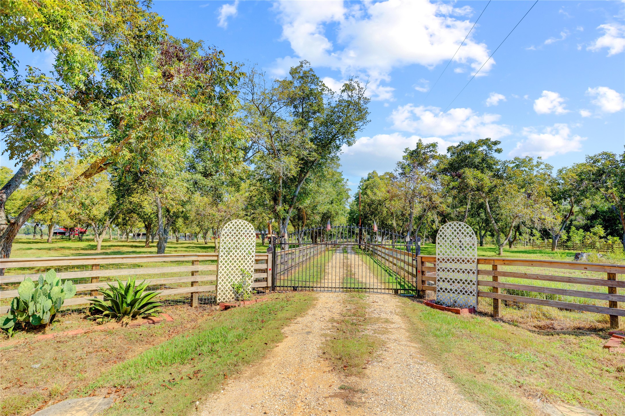 11935 County Road 160 Property Photo 1