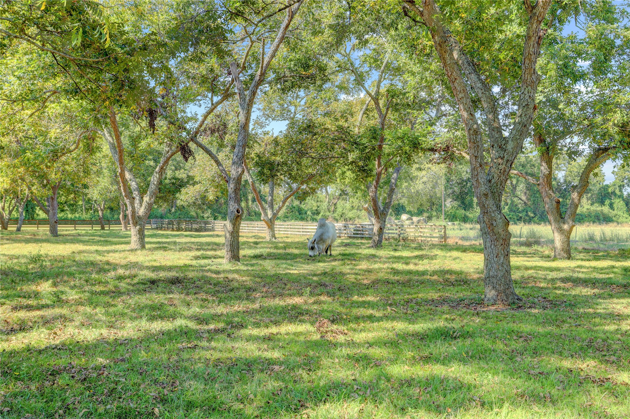 11935 County Road 160 Property Photo 33