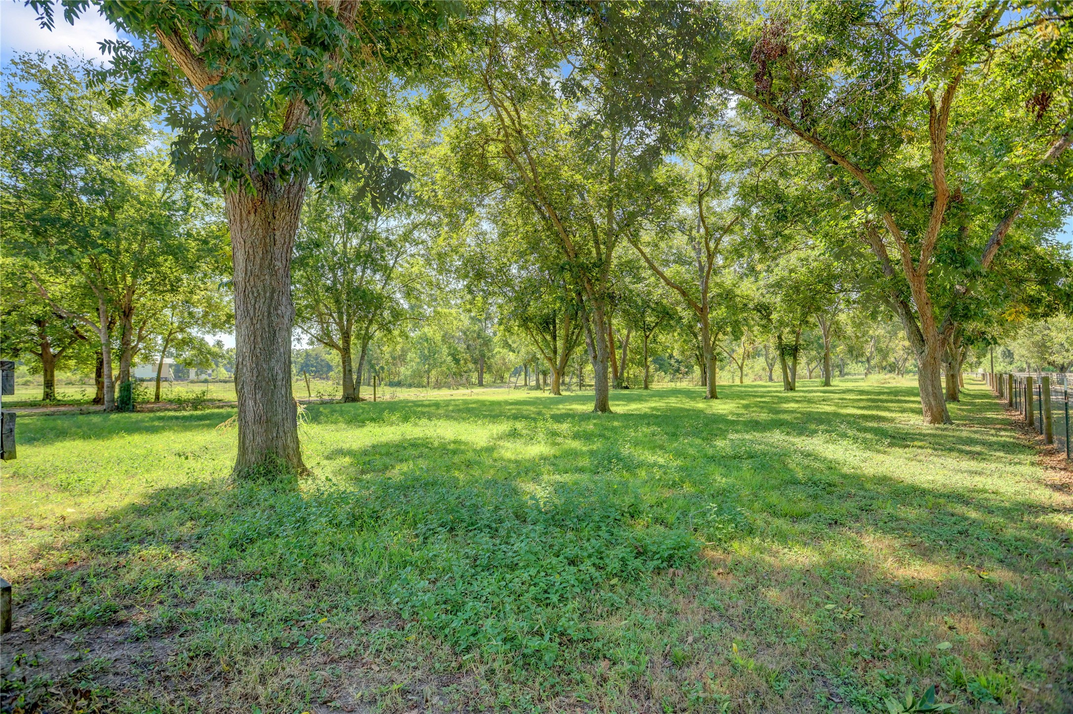 11935 County Road 160 Property Photo 34
