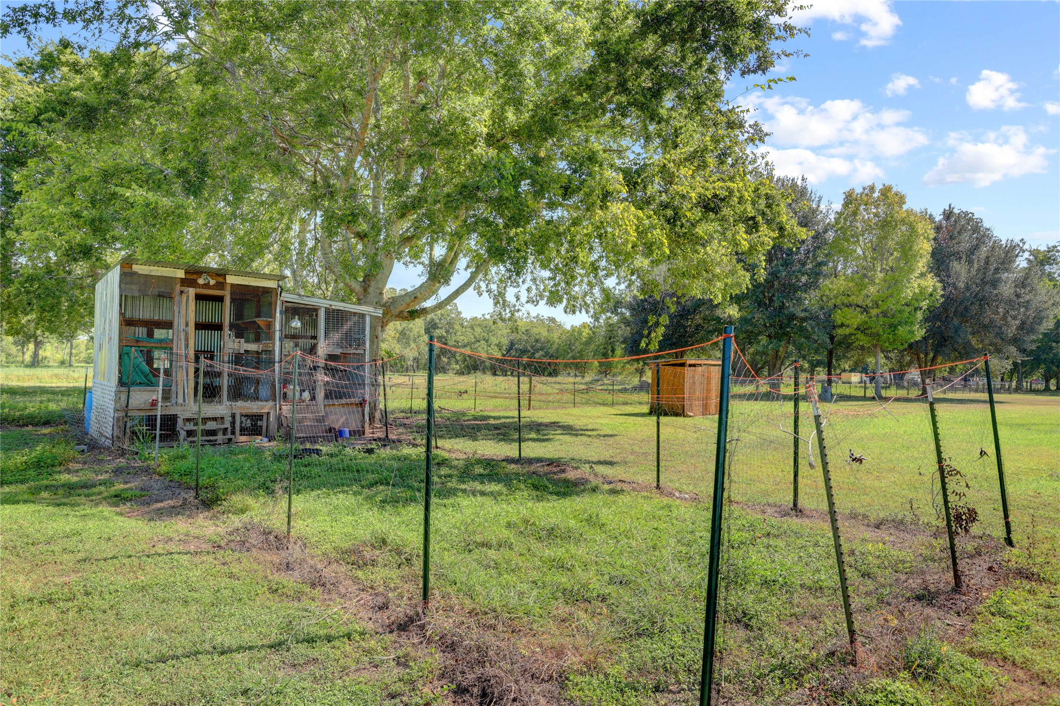 11935 County Road 160 Property Photo 46