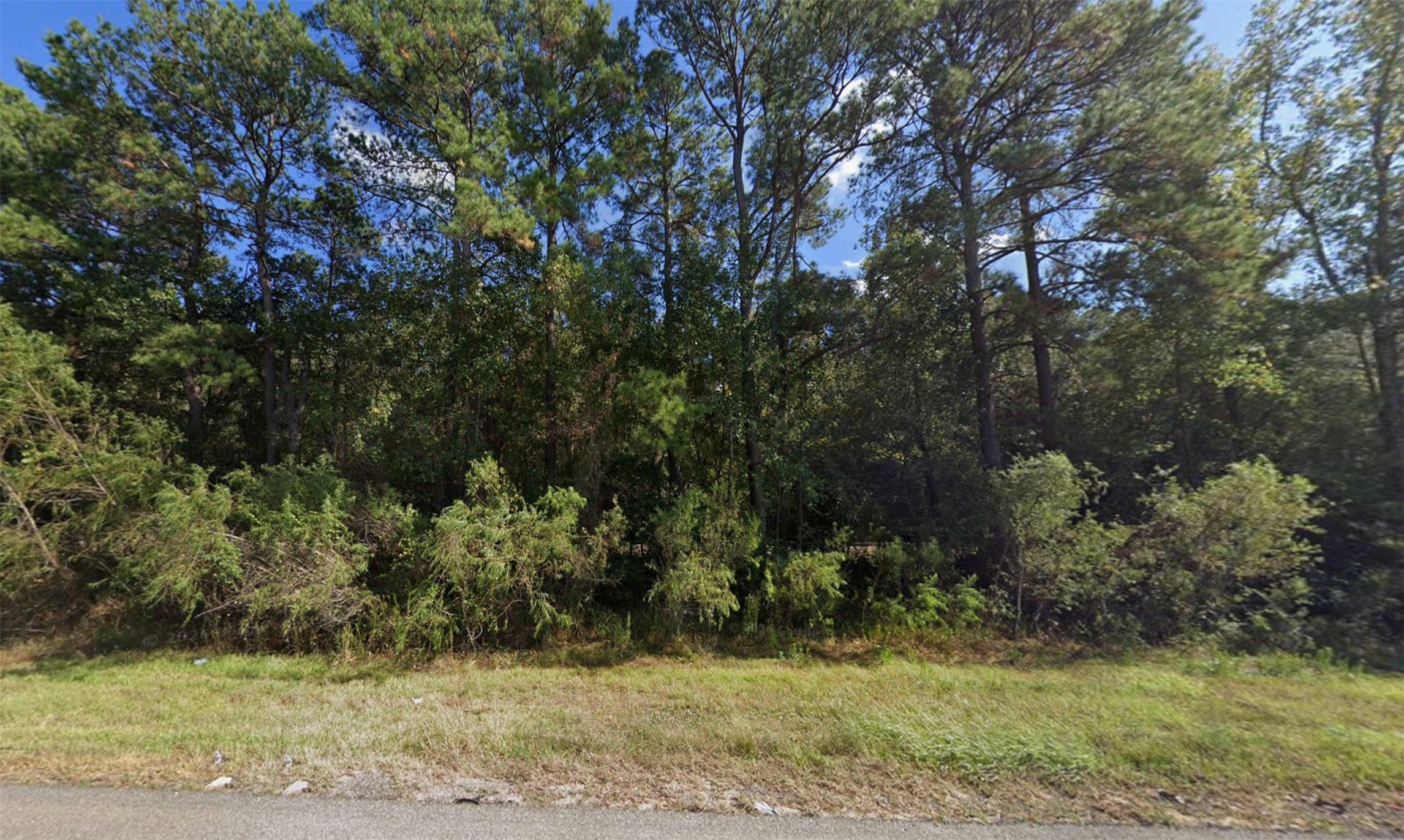 Tbd Hwy Us 59 Property Photo 1