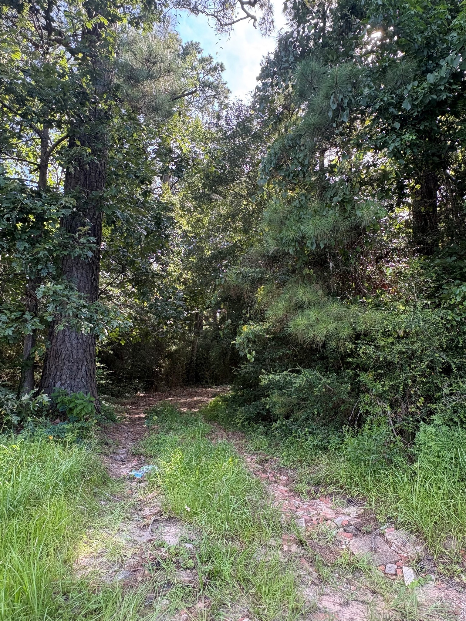 4977 Fm 1008 Property Photo 1