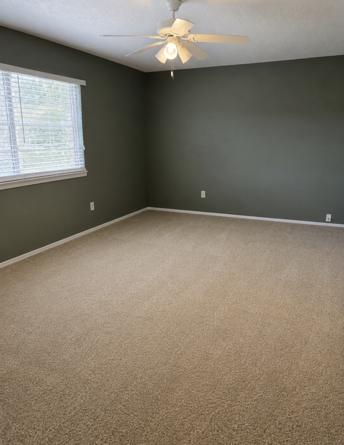 10518 Quail Ridge Lane Property Photo 13