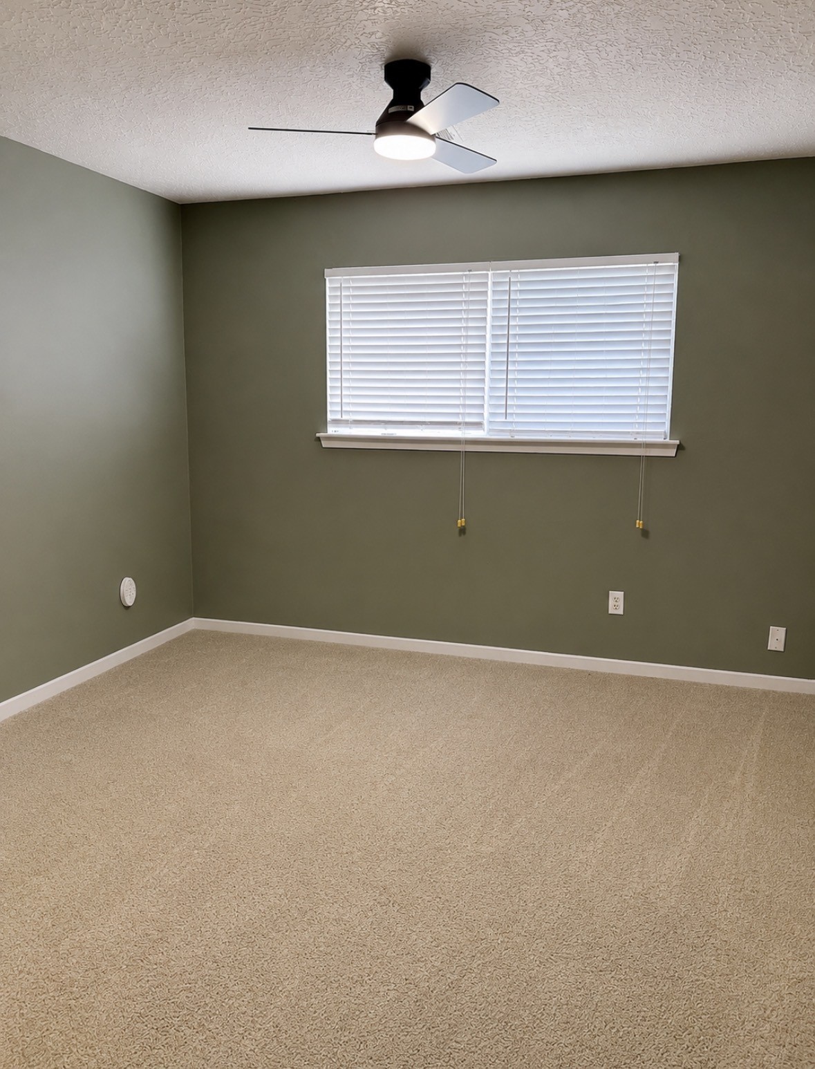 10518 Quail Ridge Lane Property Photo 17