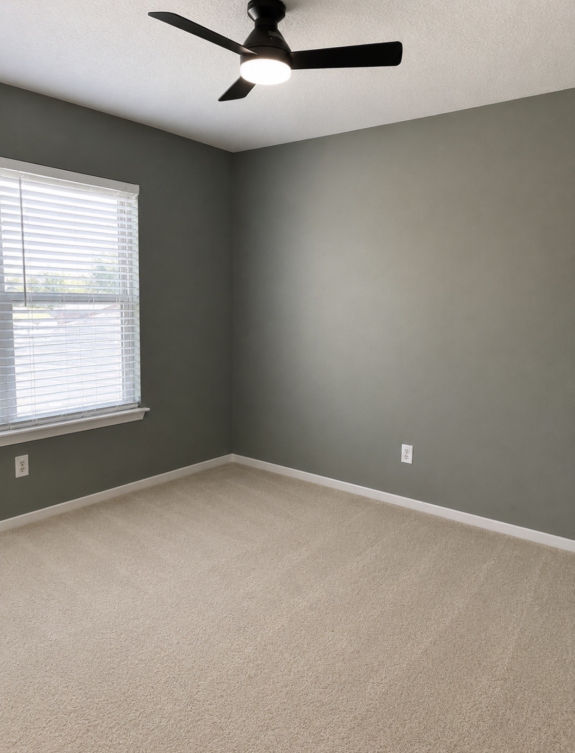 10518 Quail Ridge Lane Property Photo 18
