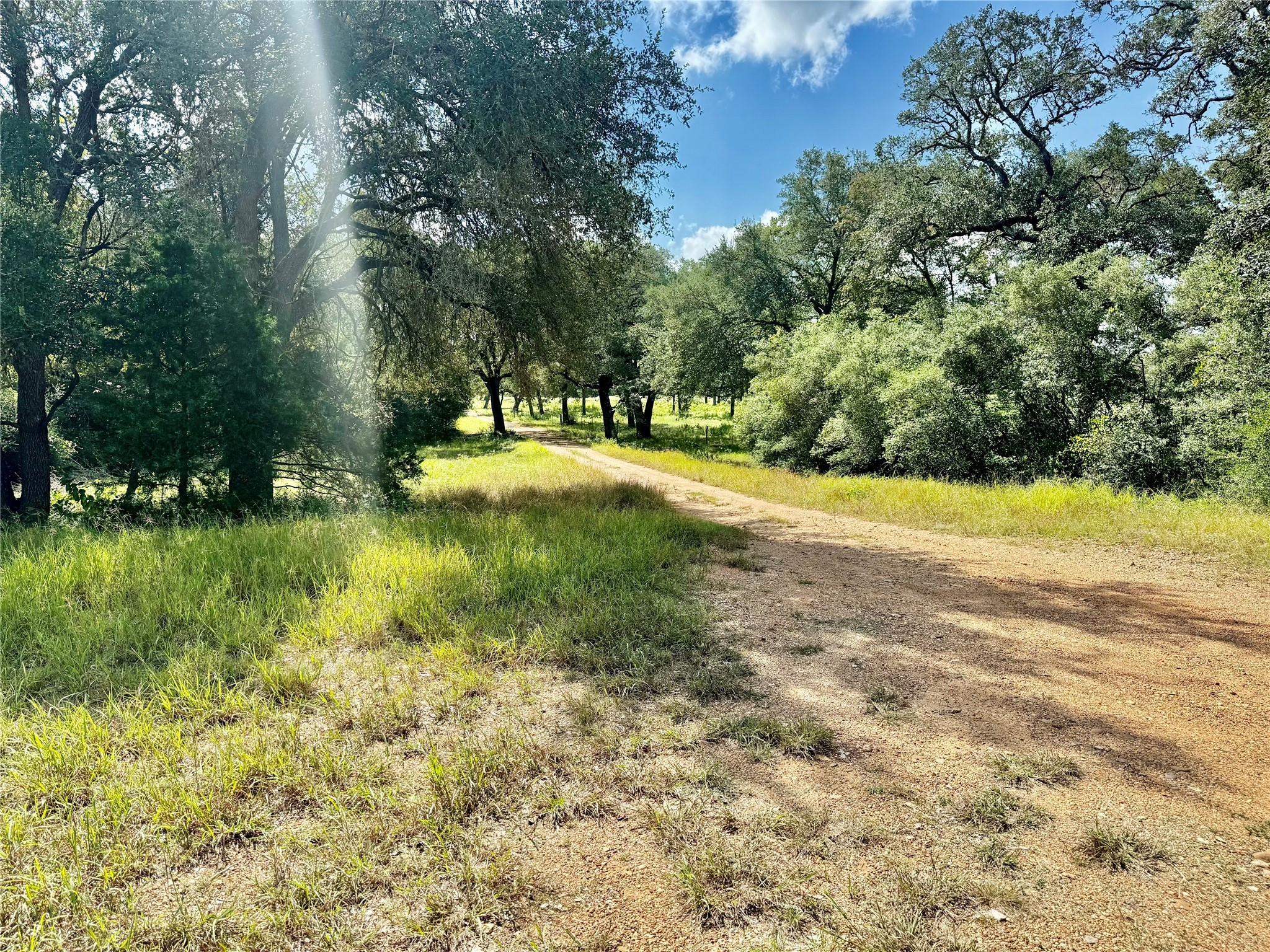 1356 Private Road 4007 Property Photo 6