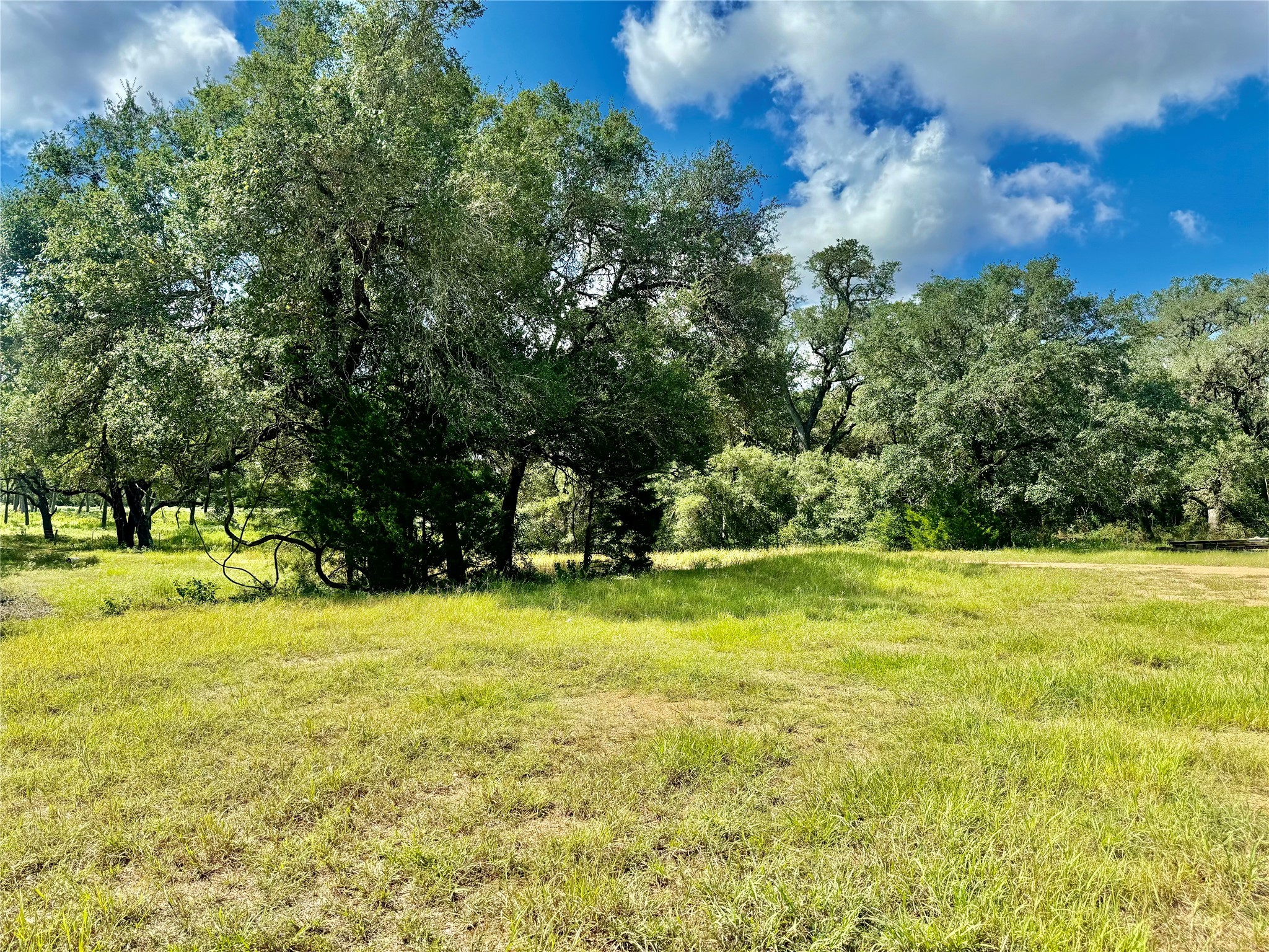 1356 Private Road 4007 Property Photo 8