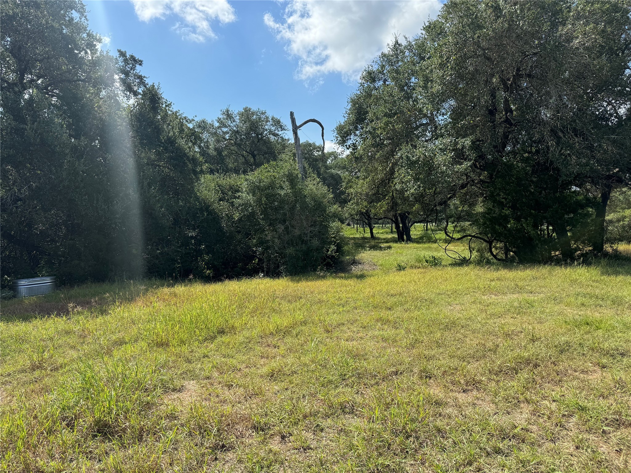 1356 Private Road 4007 Property Photo 9