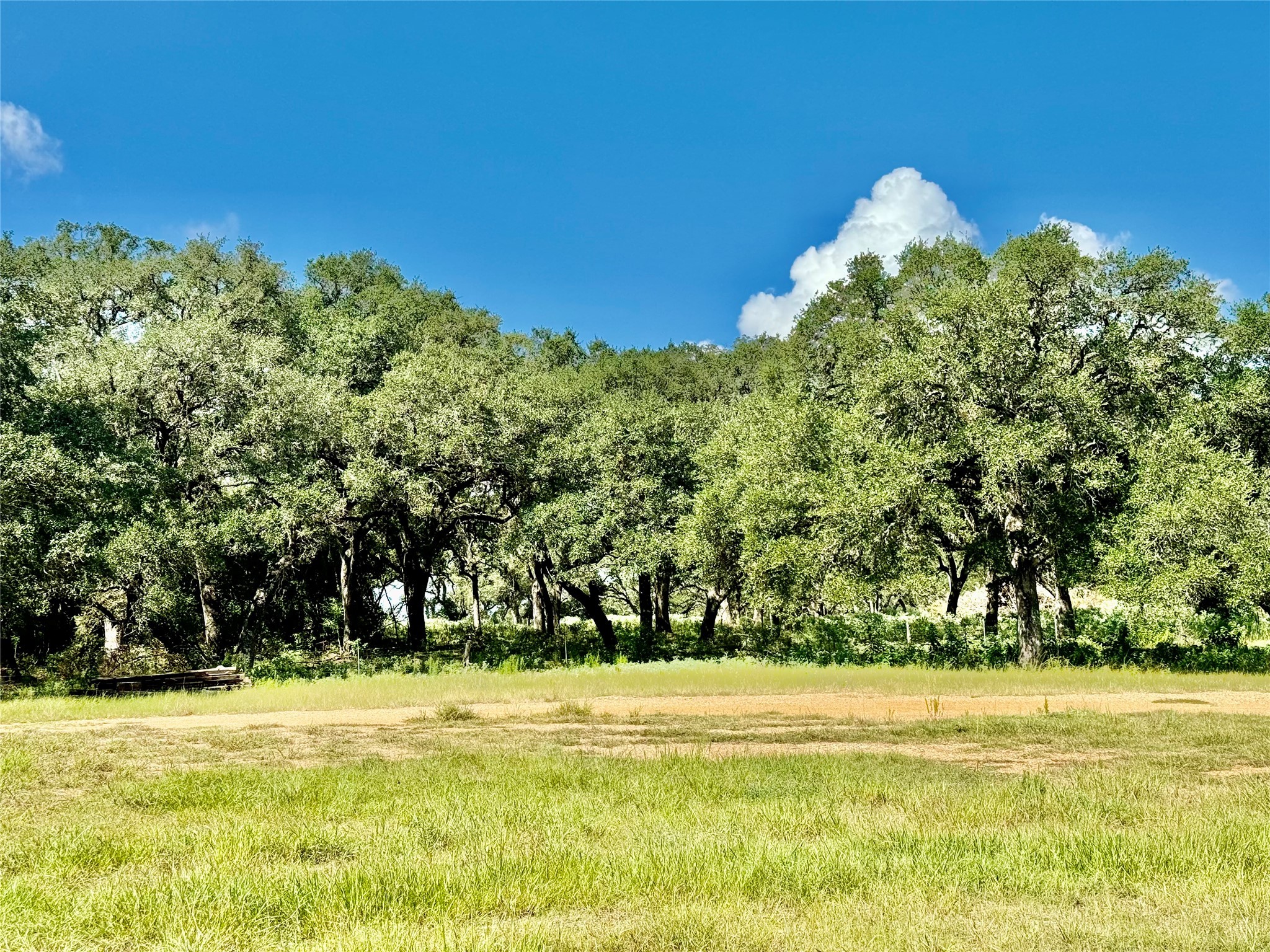 1356 Private Road 4007 Property Photo 11