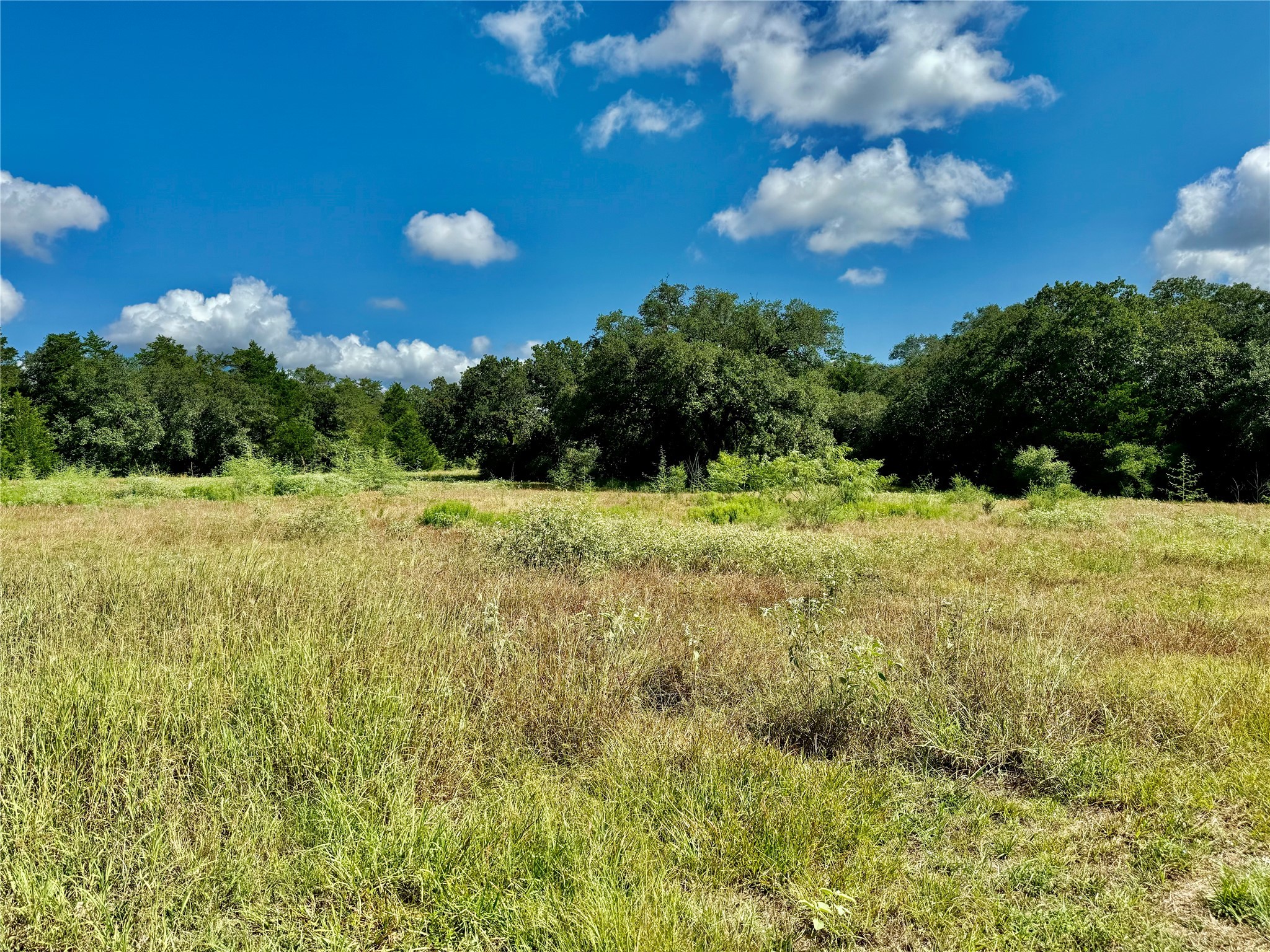 1356 Private Road 4007 Property Photo 12