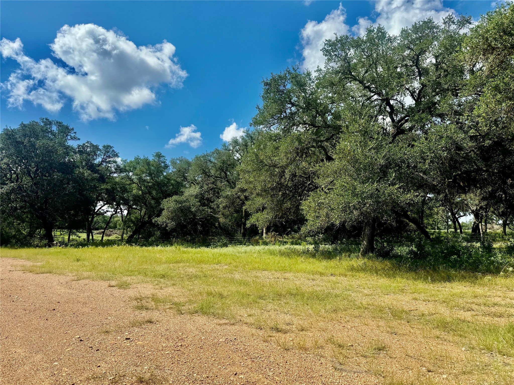 1356 Private Road 4007 Property Photo 17