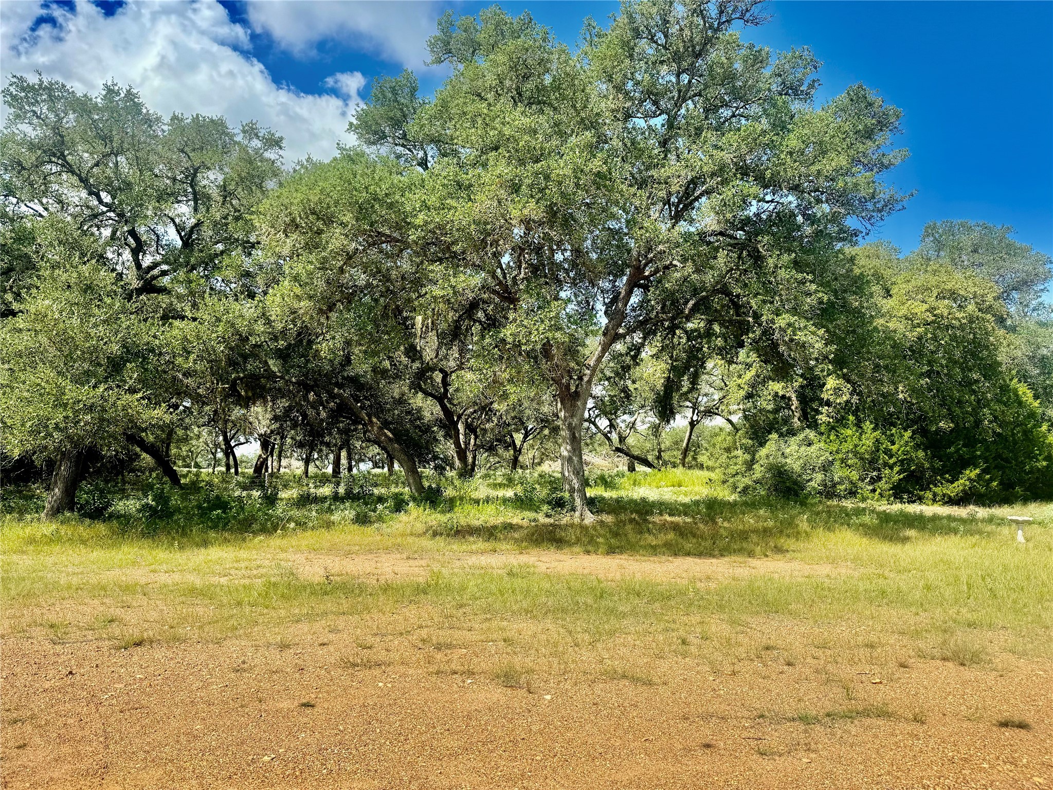 1356 Private Road 4007 Property Photo 18