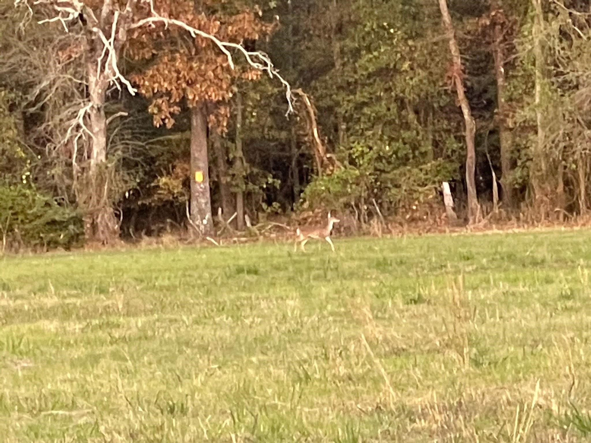 0000 North McGee Bend Loop