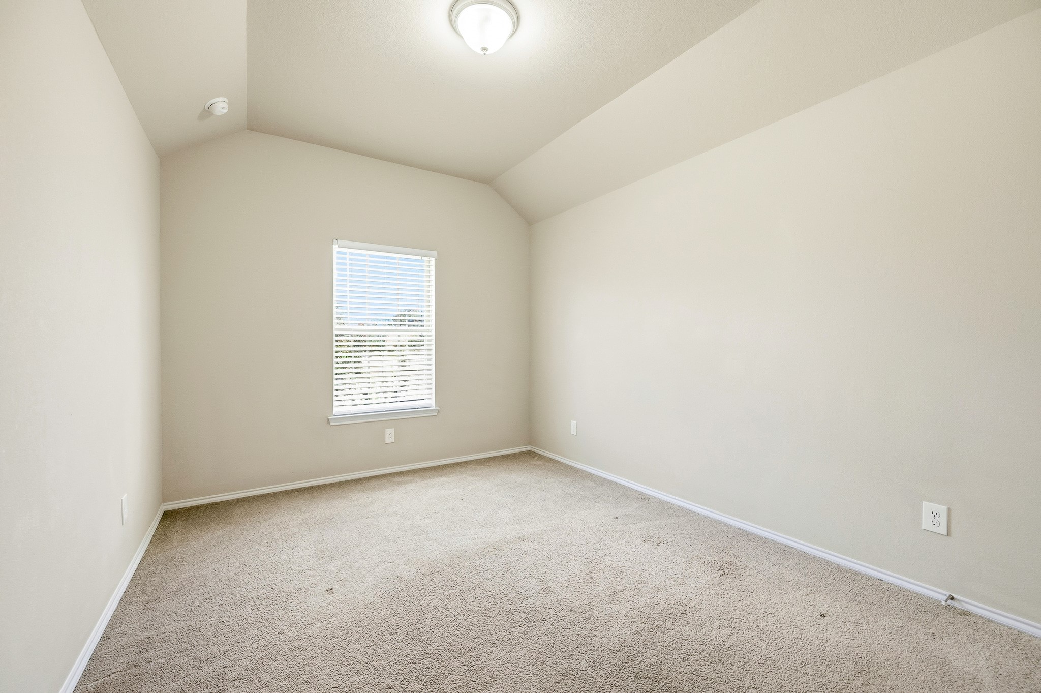 7126 Whitlow Wonder Lane Property Photo 29