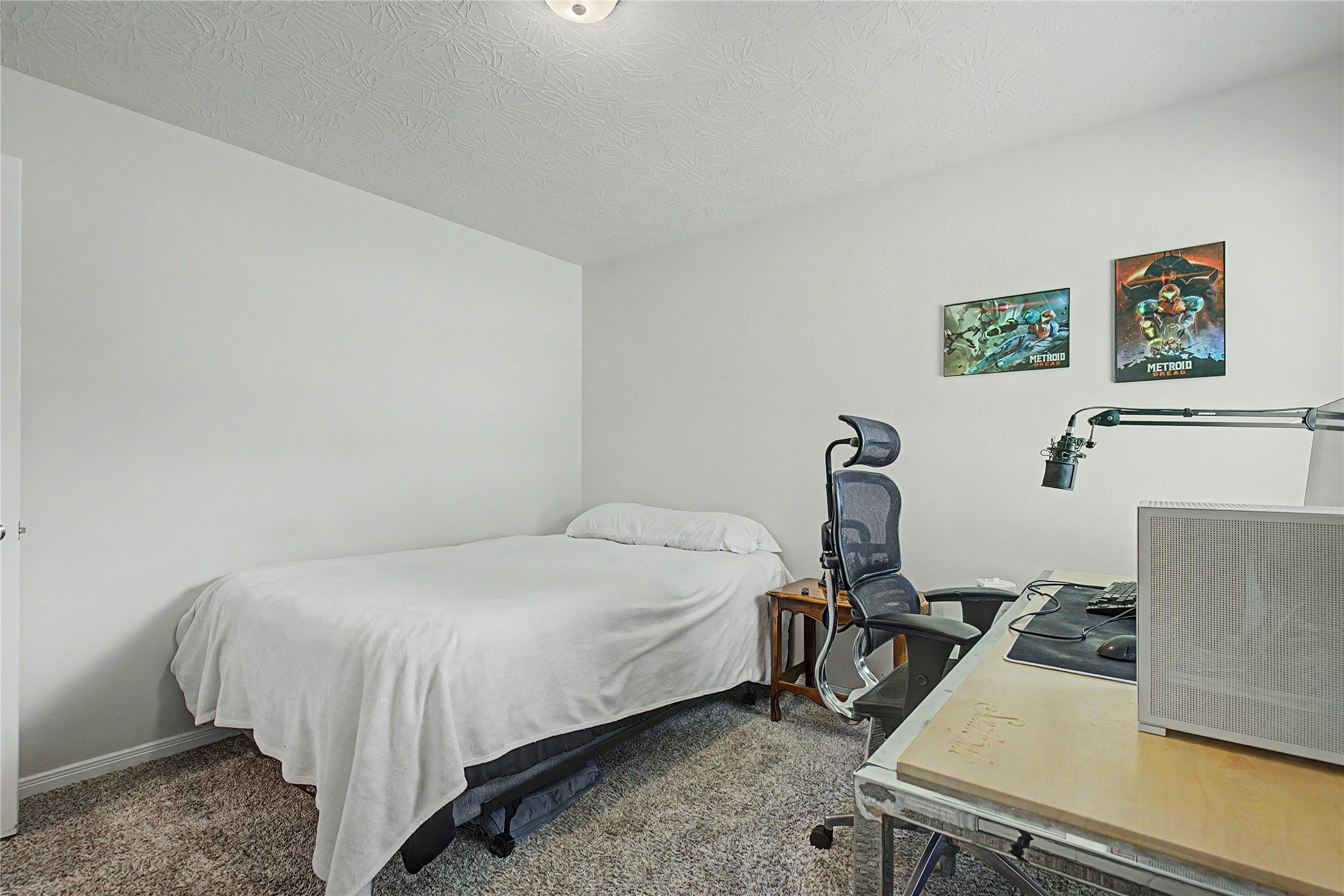 3721 Youpon Lane Property Photo 23