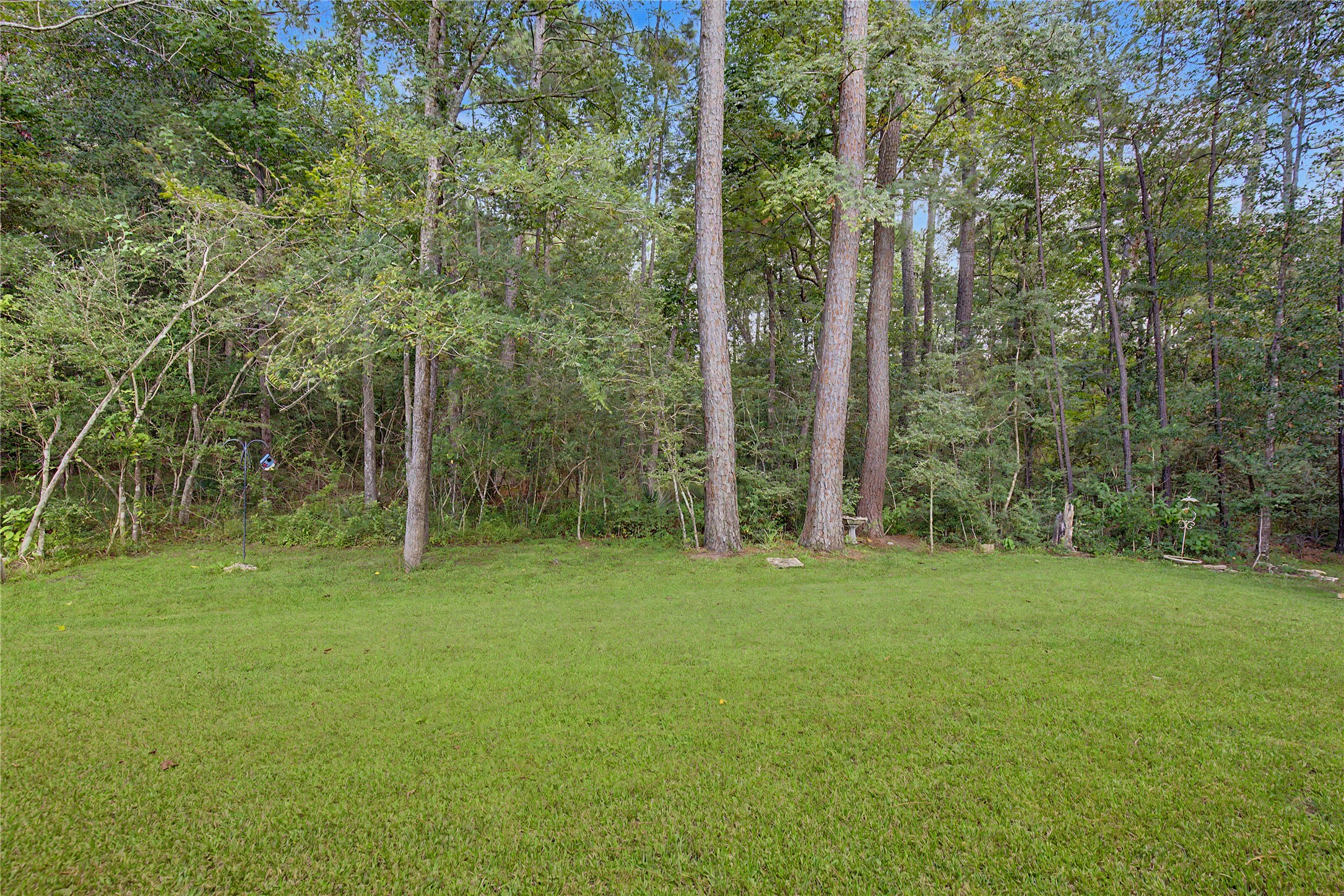 3721 Youpon Lane Property Photo 37