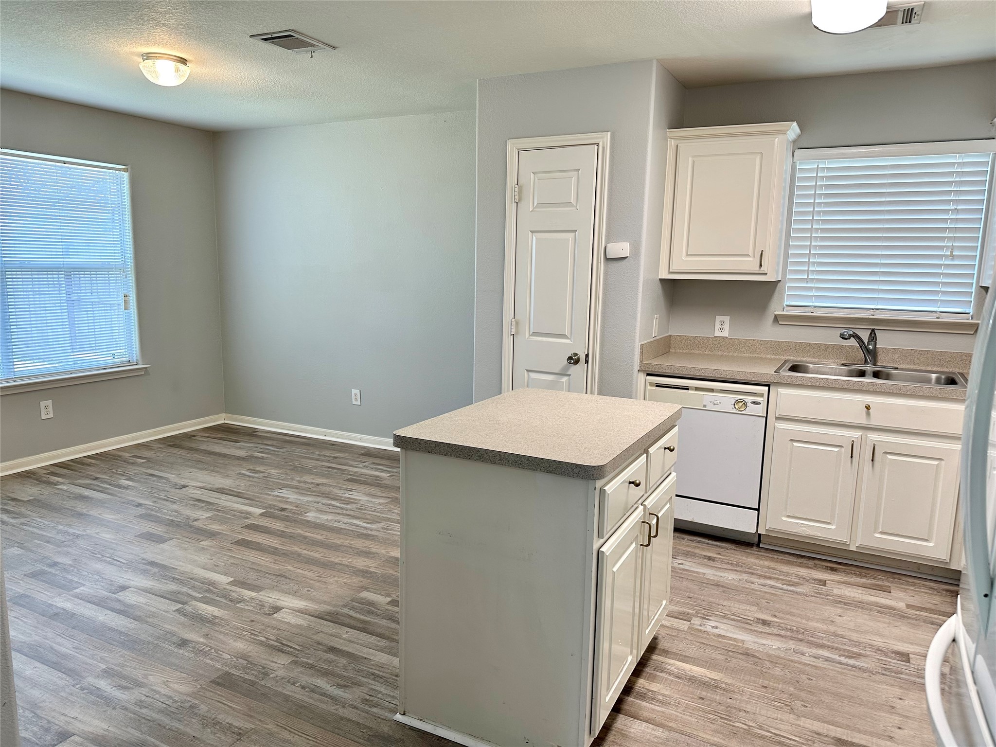 29006 Trinity River Drive Property Photo 6