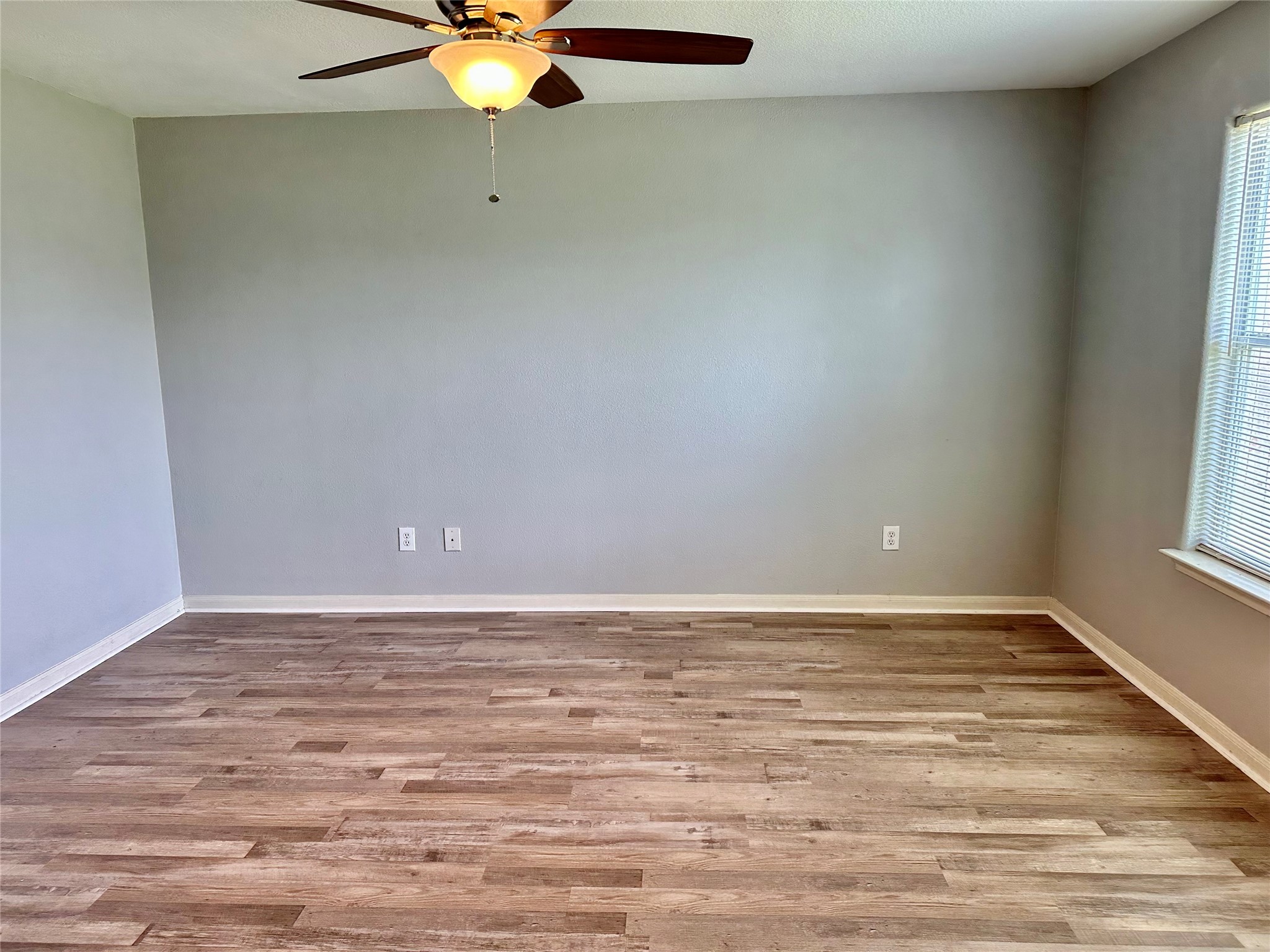 29006 Trinity River Drive Property Photo 8