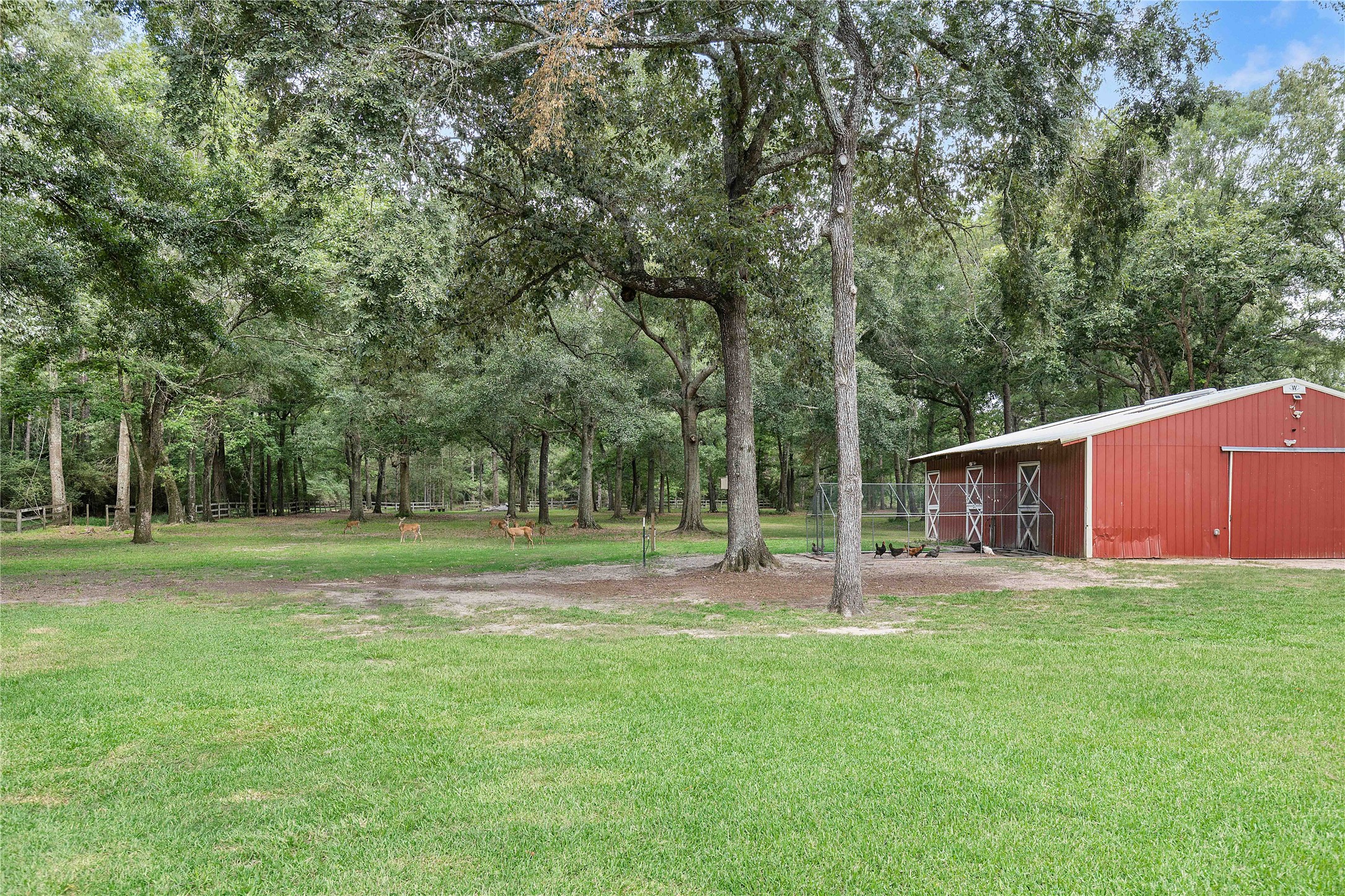 28918 Misty Oaks Drive Property Photo 40
