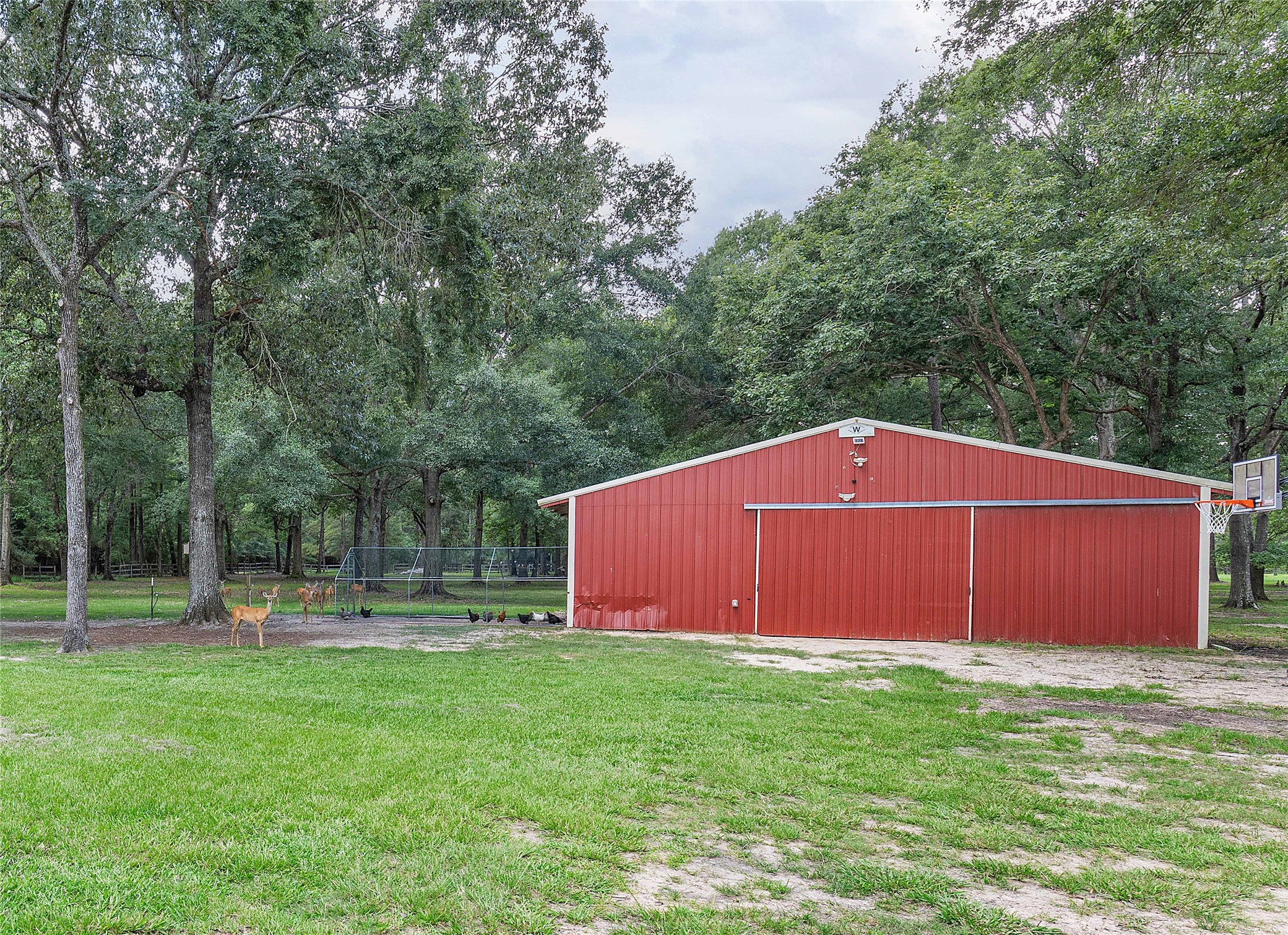 28918 Misty Oaks Drive Property Photo 41
