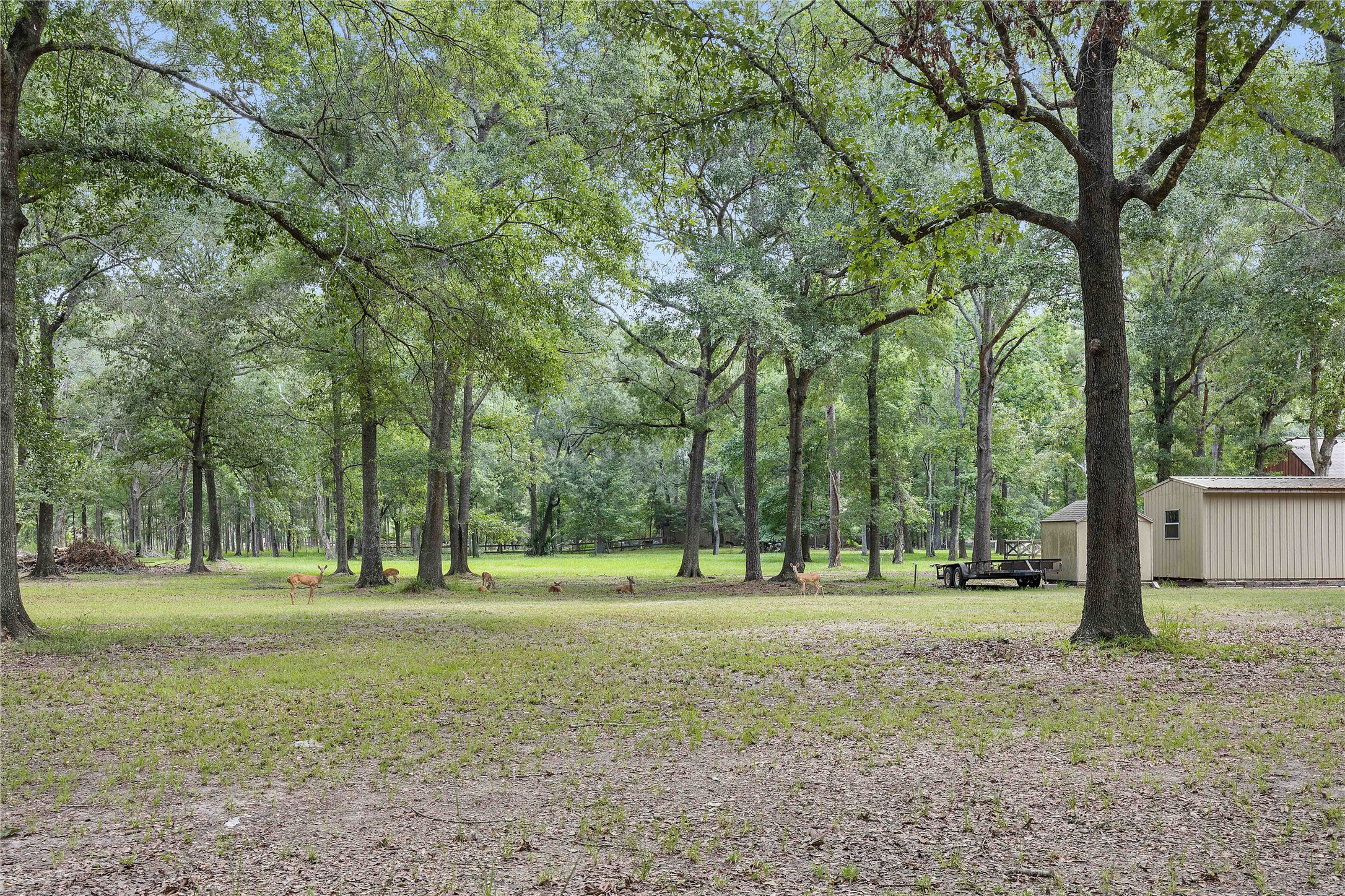 28918 Misty Oaks Drive Property Photo 46