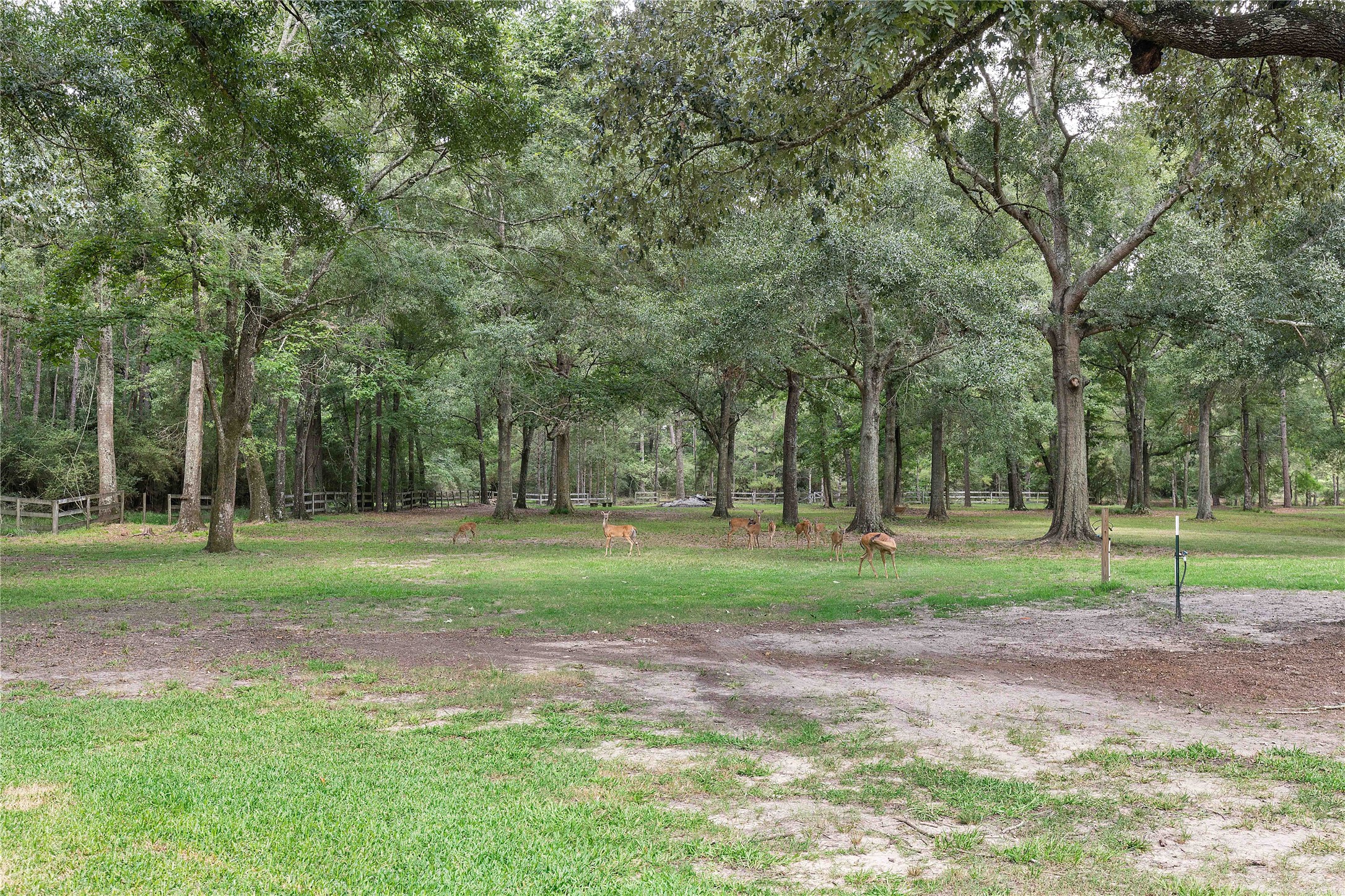 28918 Misty Oaks Drive Property Photo 47
