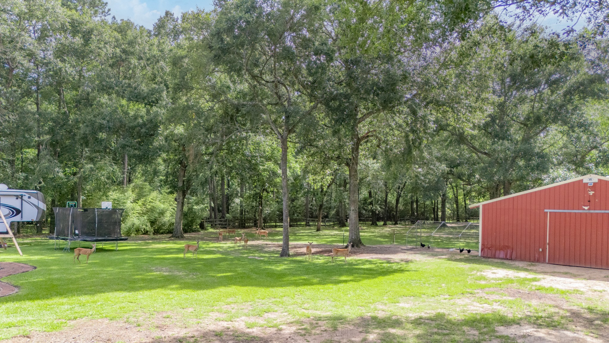 28918 Misty Oaks Drive Property Photo 50
