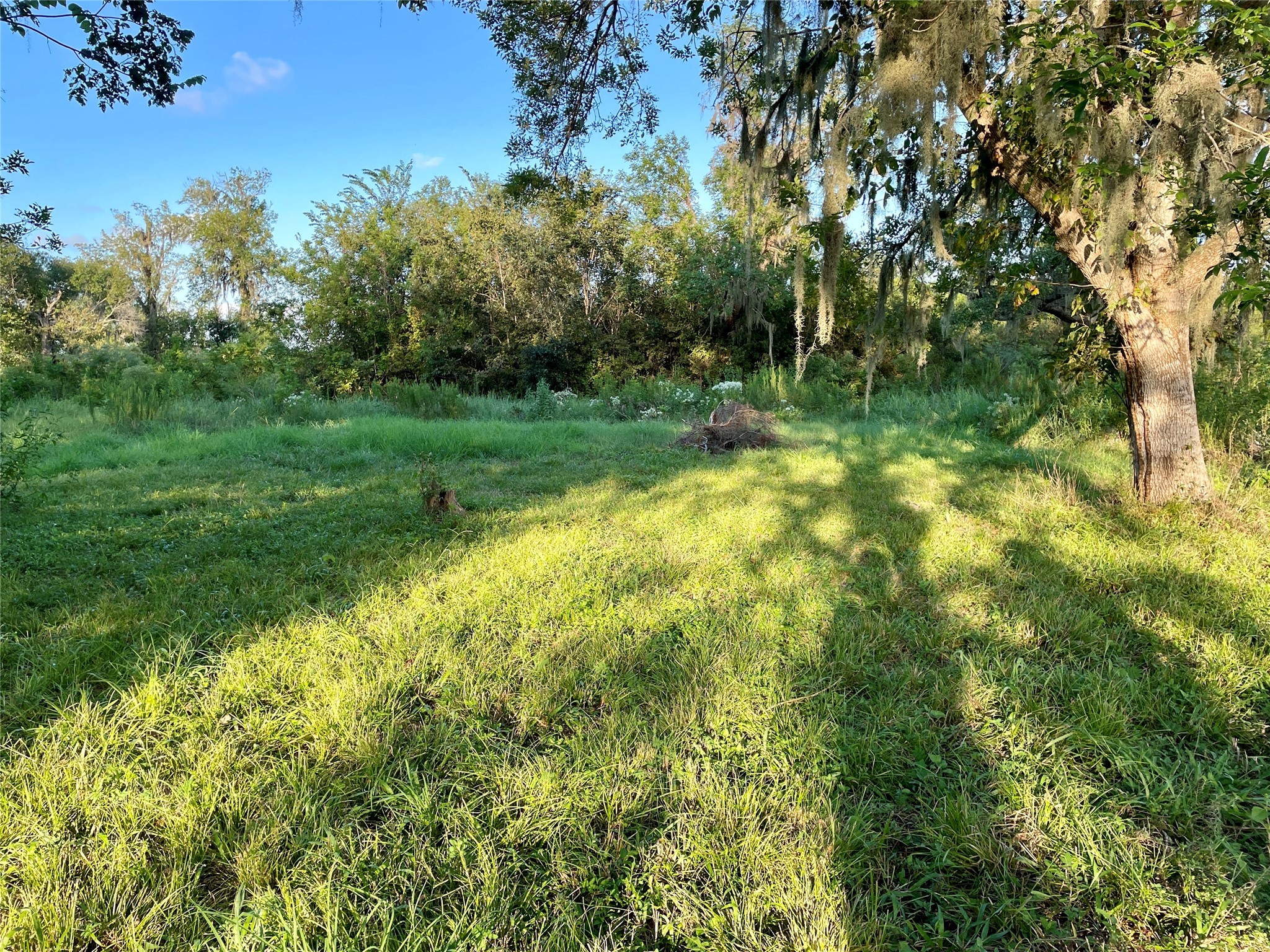 20406 County Road 461 Property Photo 3