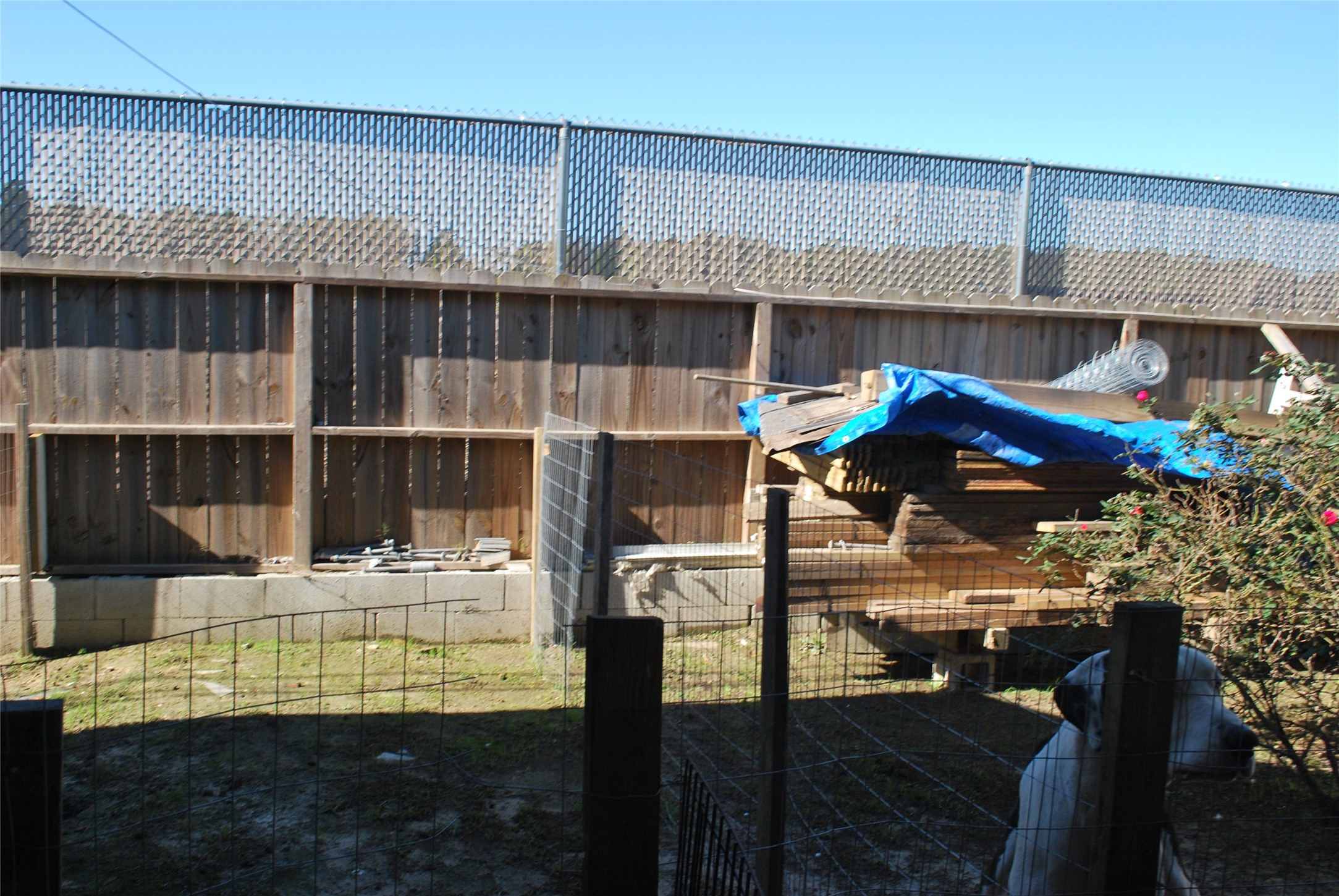 9607 Meadowvine Drive Property Photo 12
