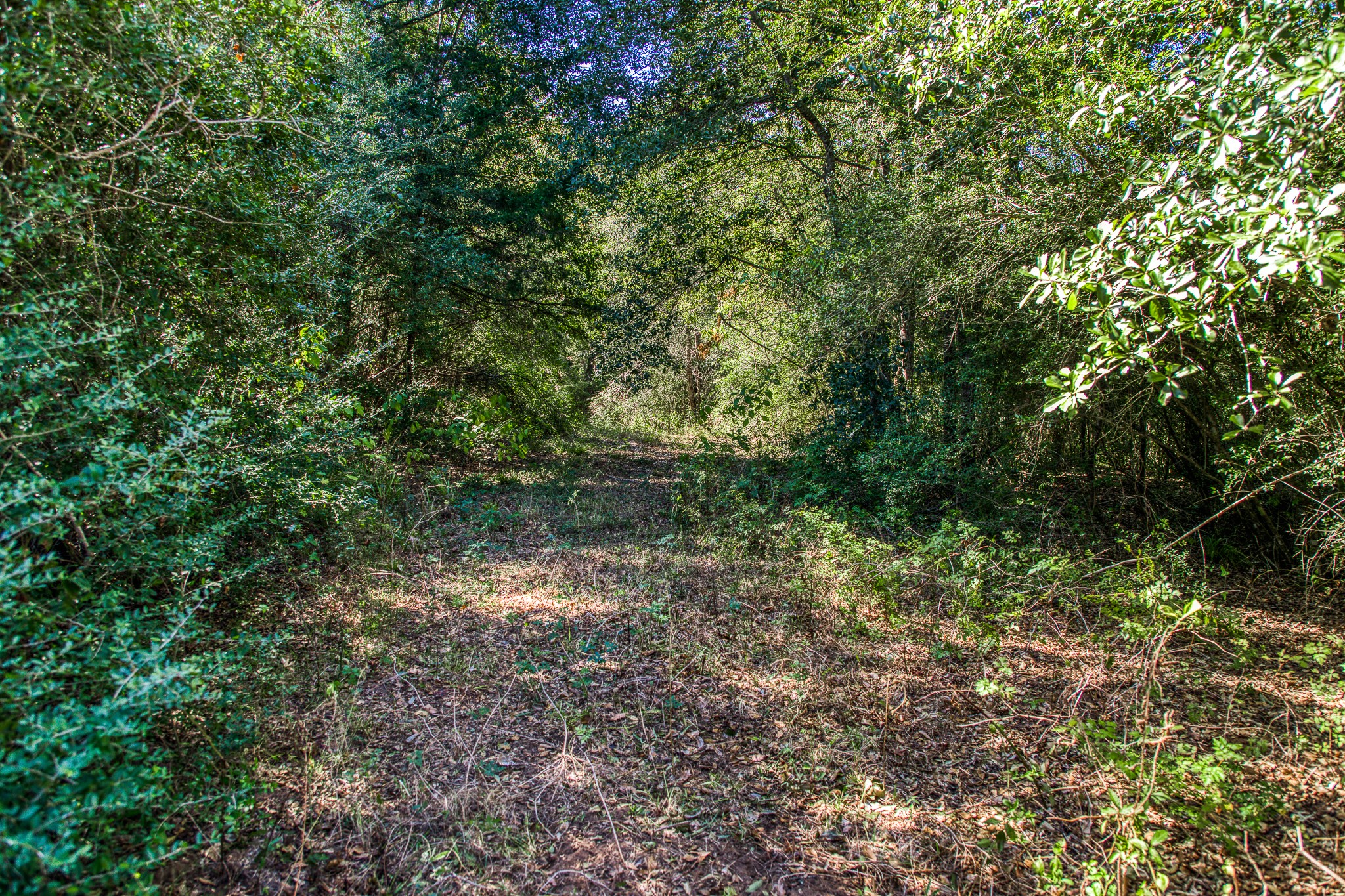 1712 Lynn Road Property Photo 32