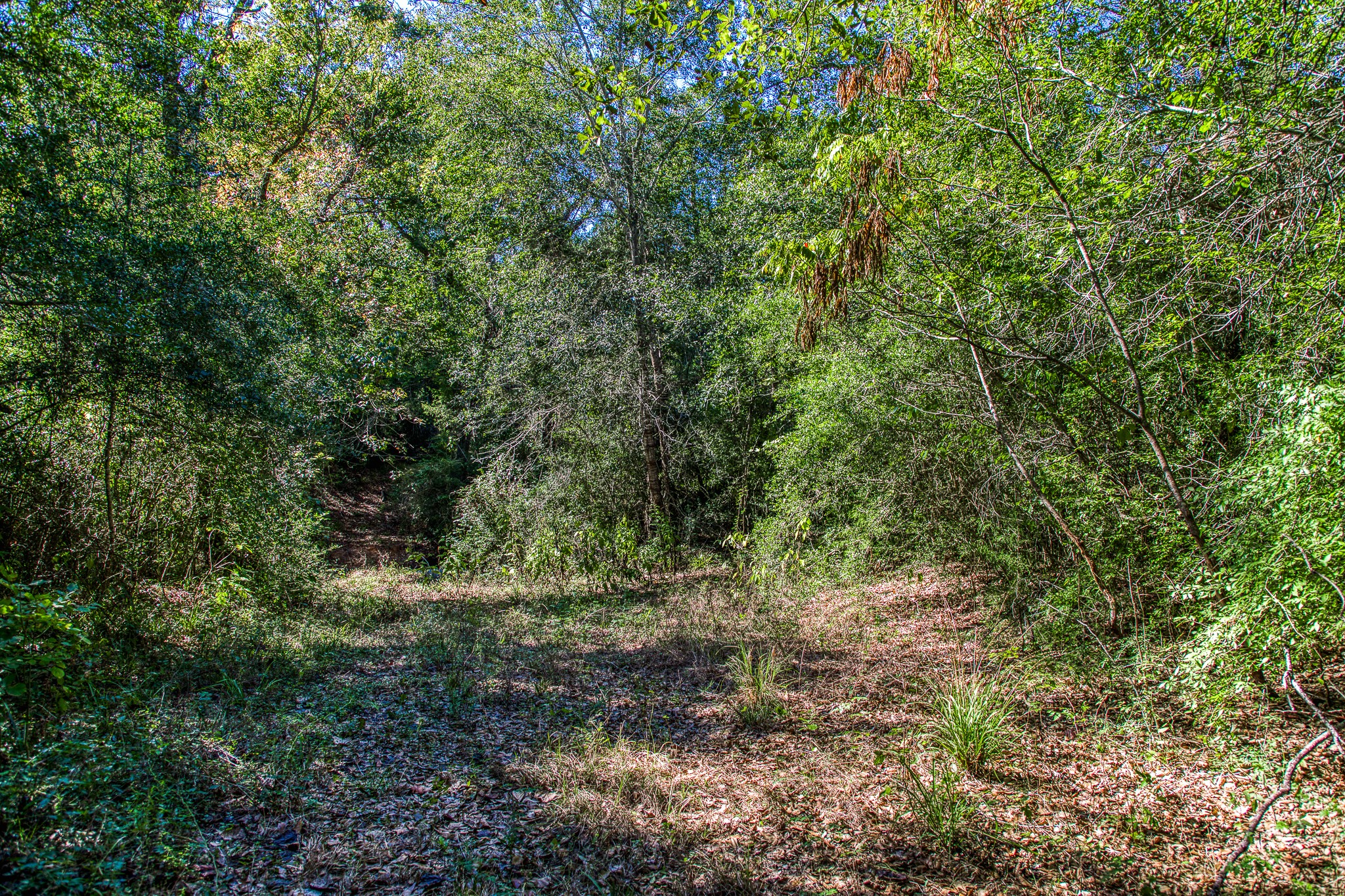 1712 Lynn Road Property Photo 33