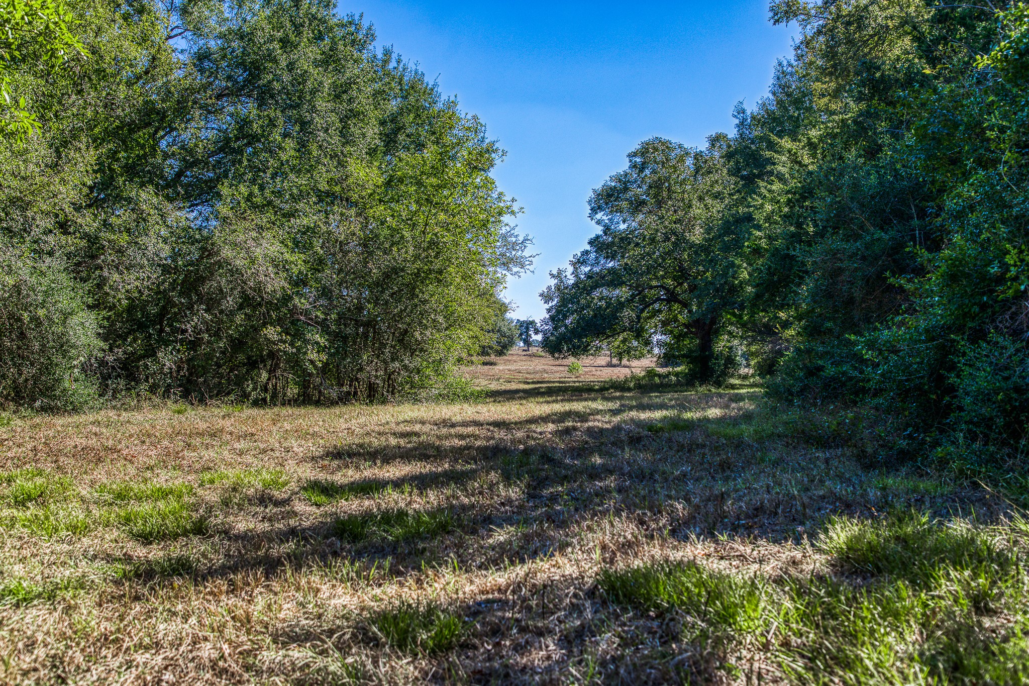 1712 Lynn Road Property Photo 35