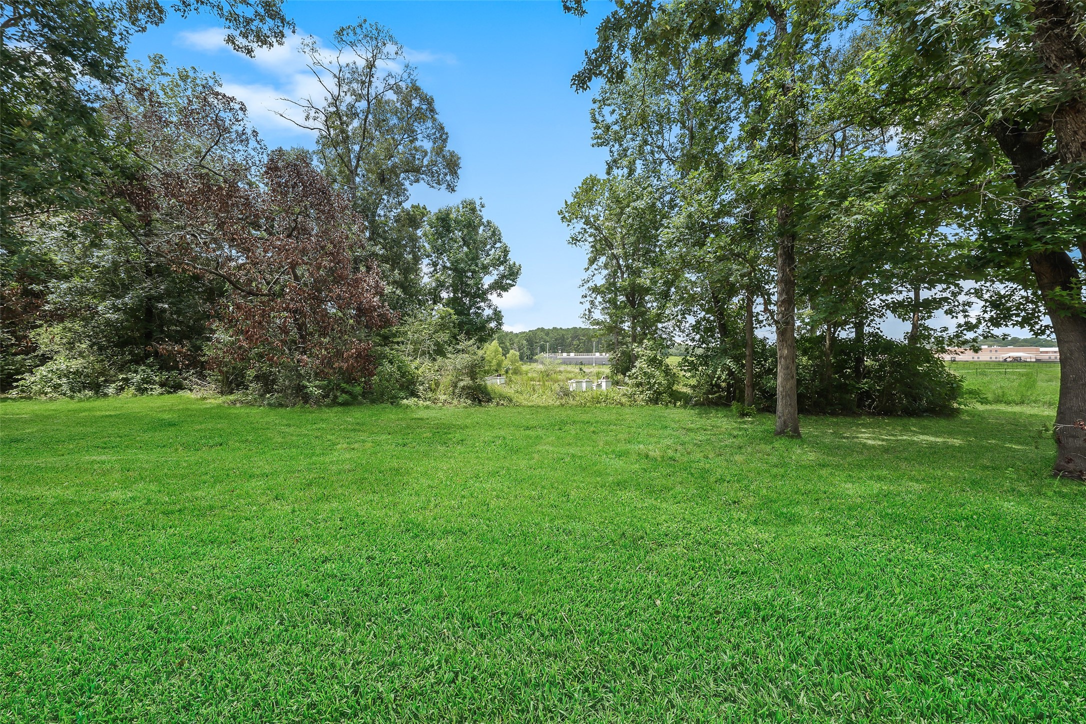 14255 Amber Lane Property Photo 6