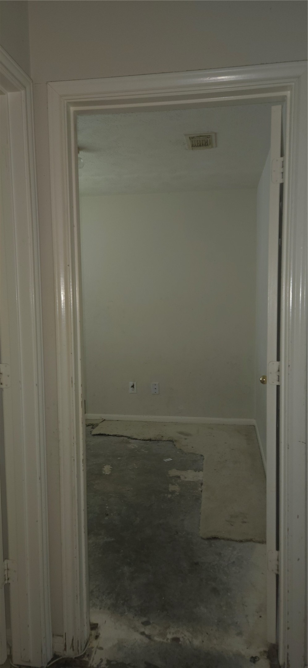 4206 Daisy Meadow Drive Property Photo 14