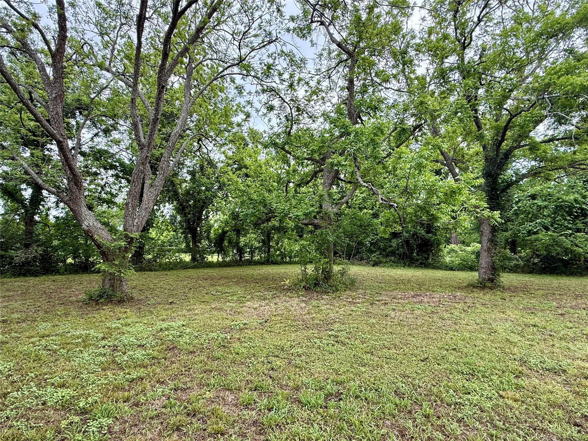 137 Fm 359 Road Property Photo 2