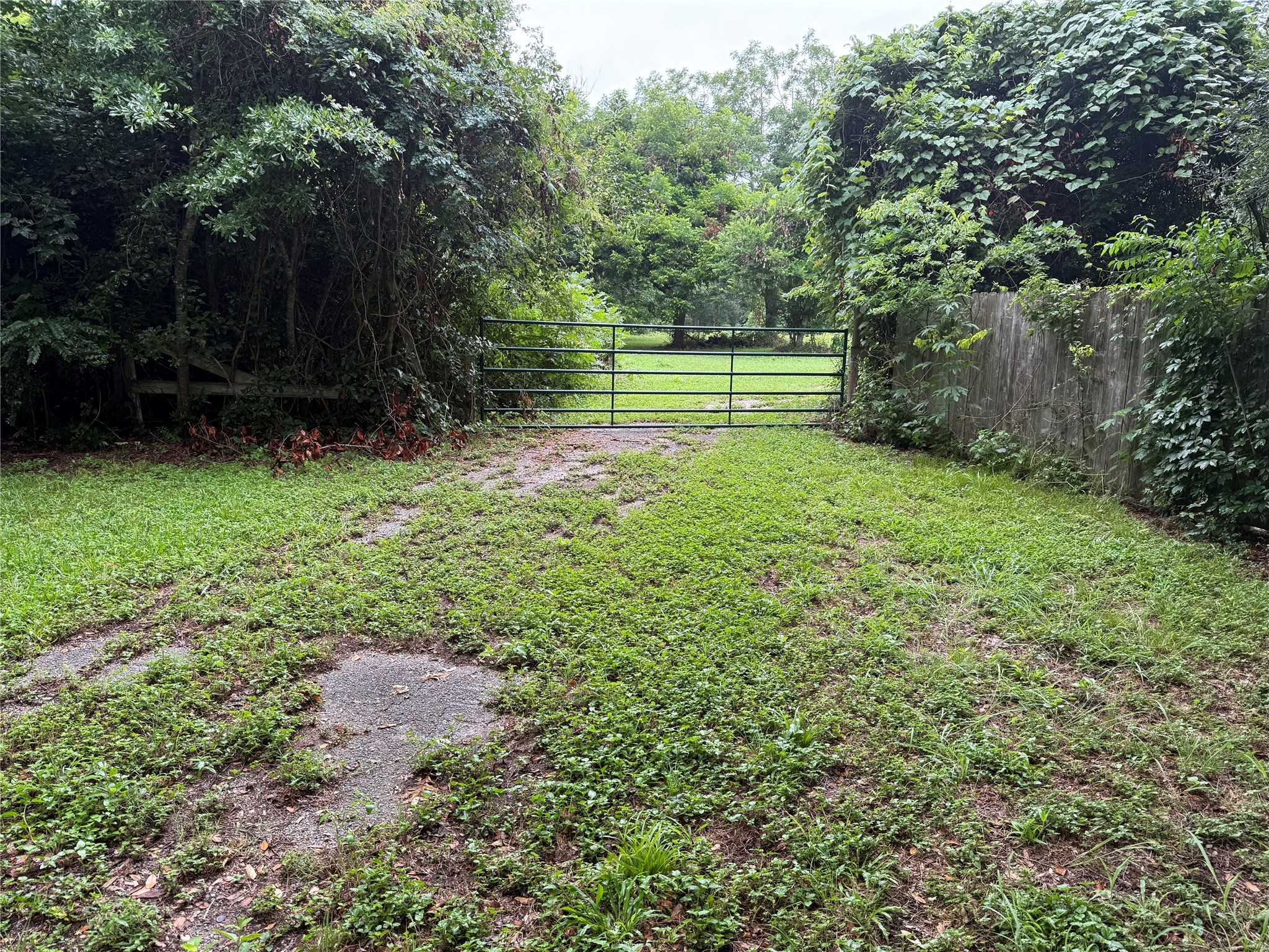 137 Fm 359 Road Property Photo 9