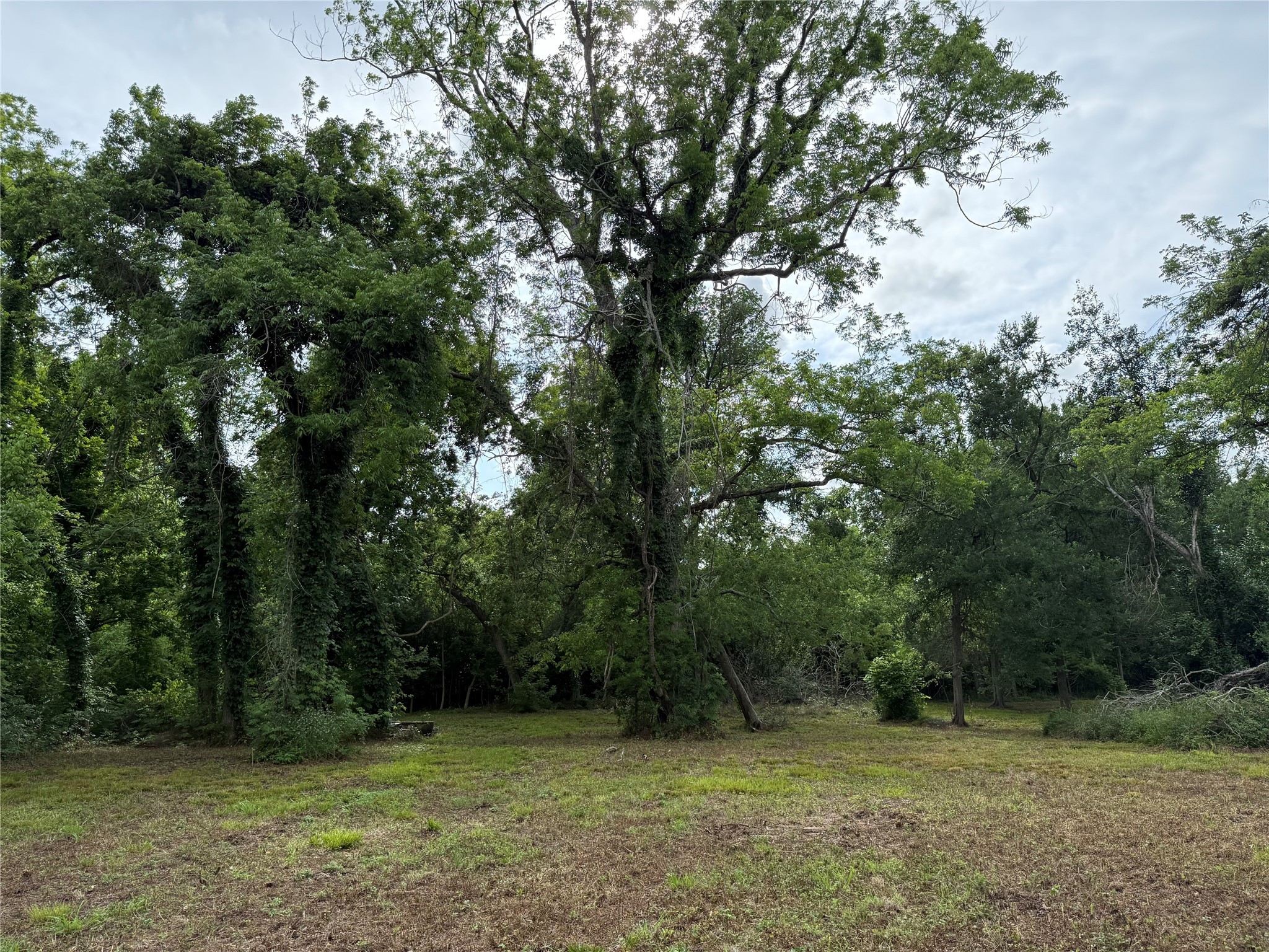 137 Fm 359 Road Property Photo 14