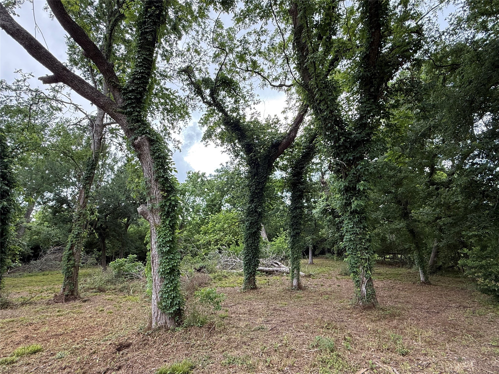 137 Fm 359 Road Property Photo 15