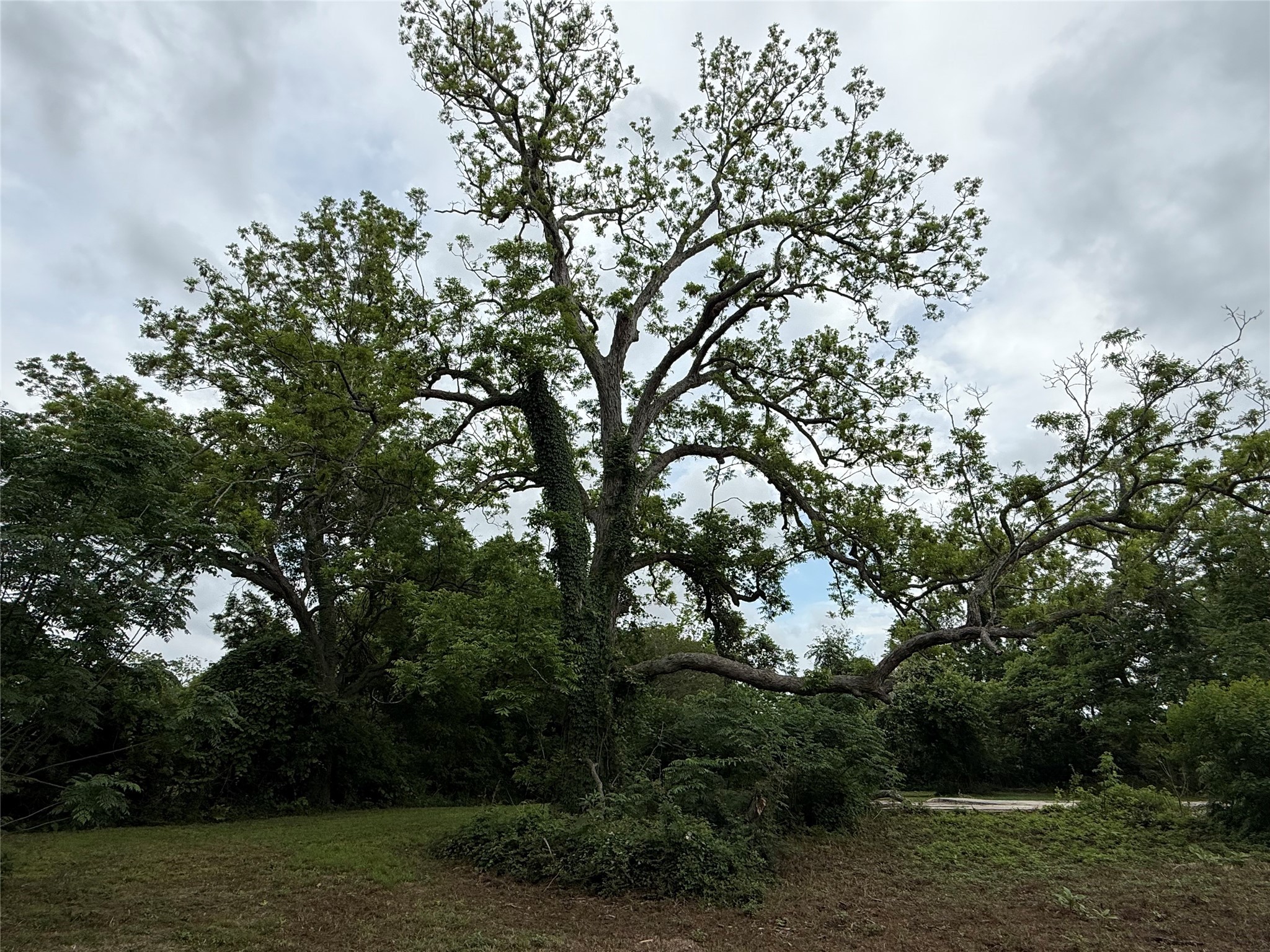 137 Fm 359 Road Property Photo 16
