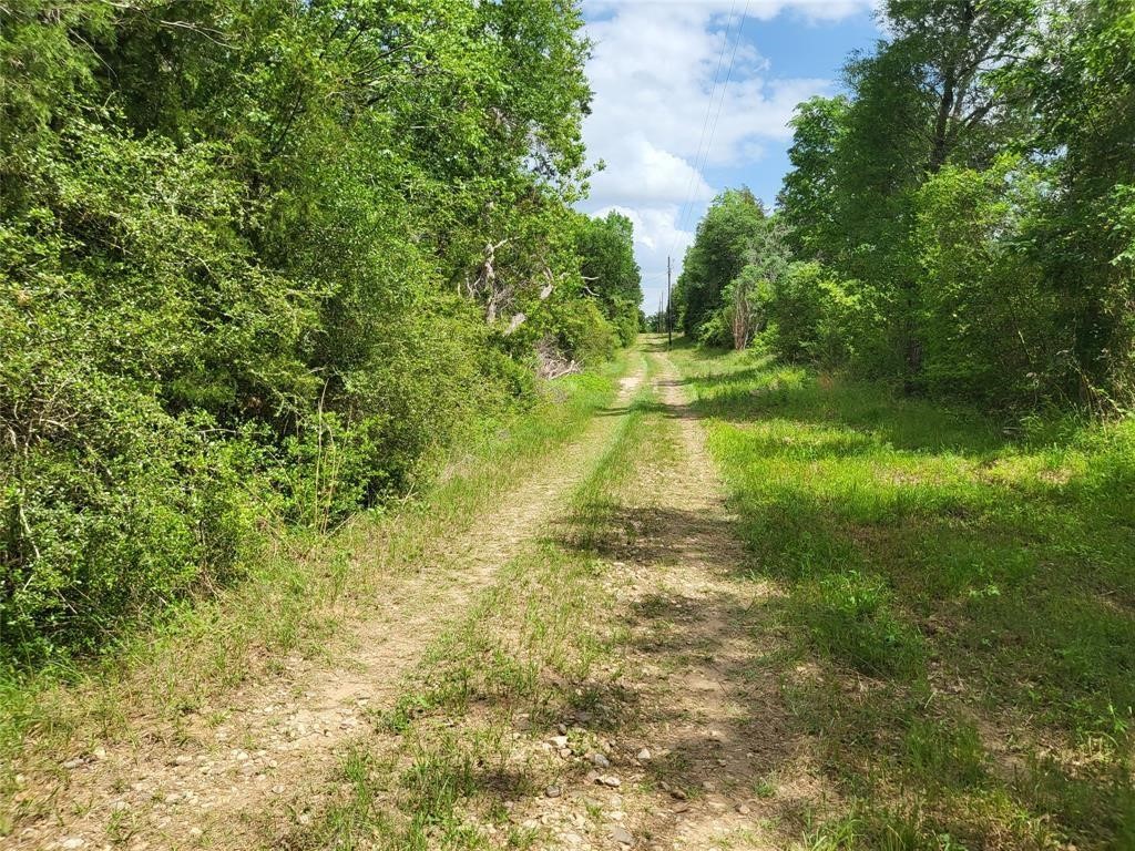 7436 Magnolia Lane Property Photo 2