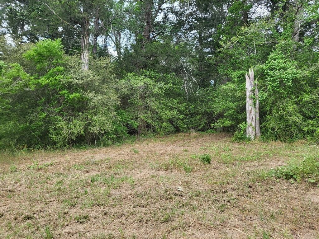 7436 Magnolia Lane Property Photo 3