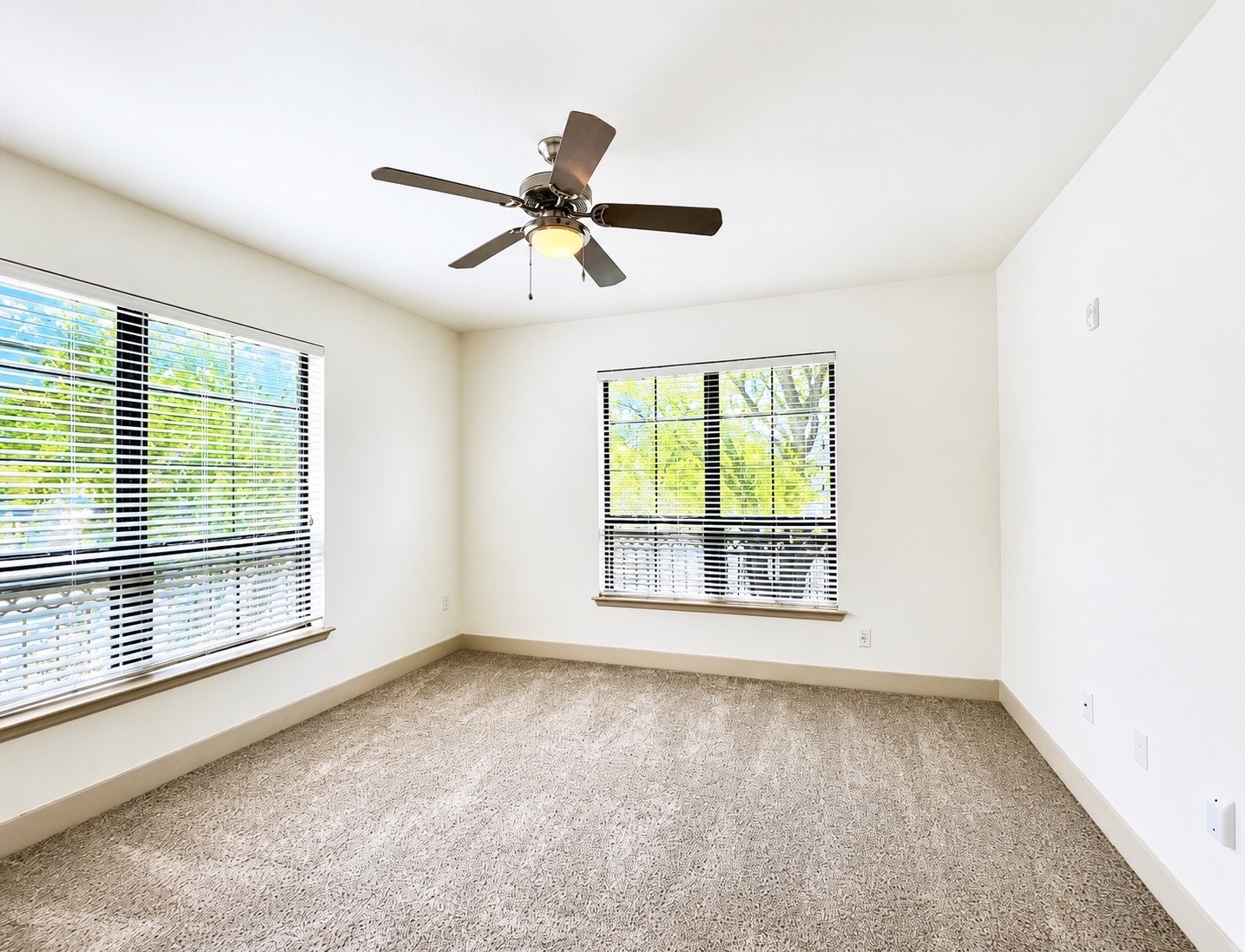 2222 Smith Street 121 Property Photo 9
