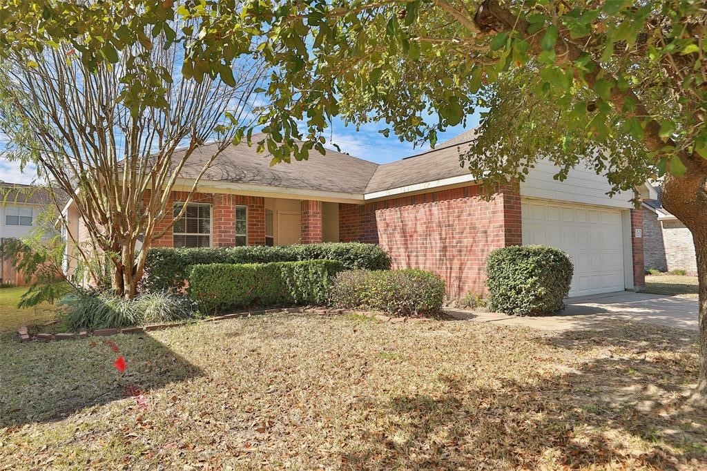 13127 Bach Elm Street Property Photo 3