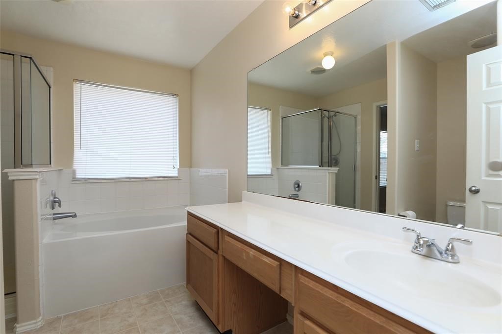 13127 Bach Elm Street Property Photo 18