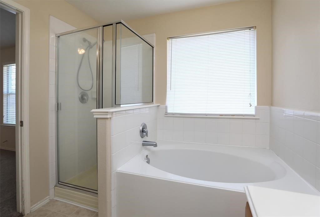 13127 Bach Elm Street Property Photo 19