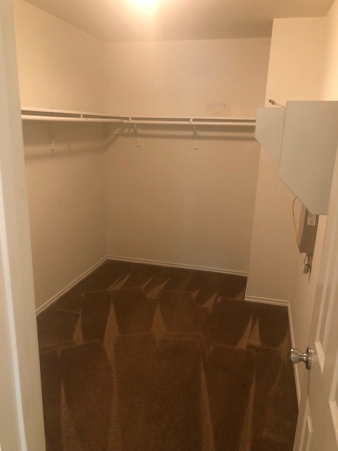 7742 Muley Lane Property Photo 19
