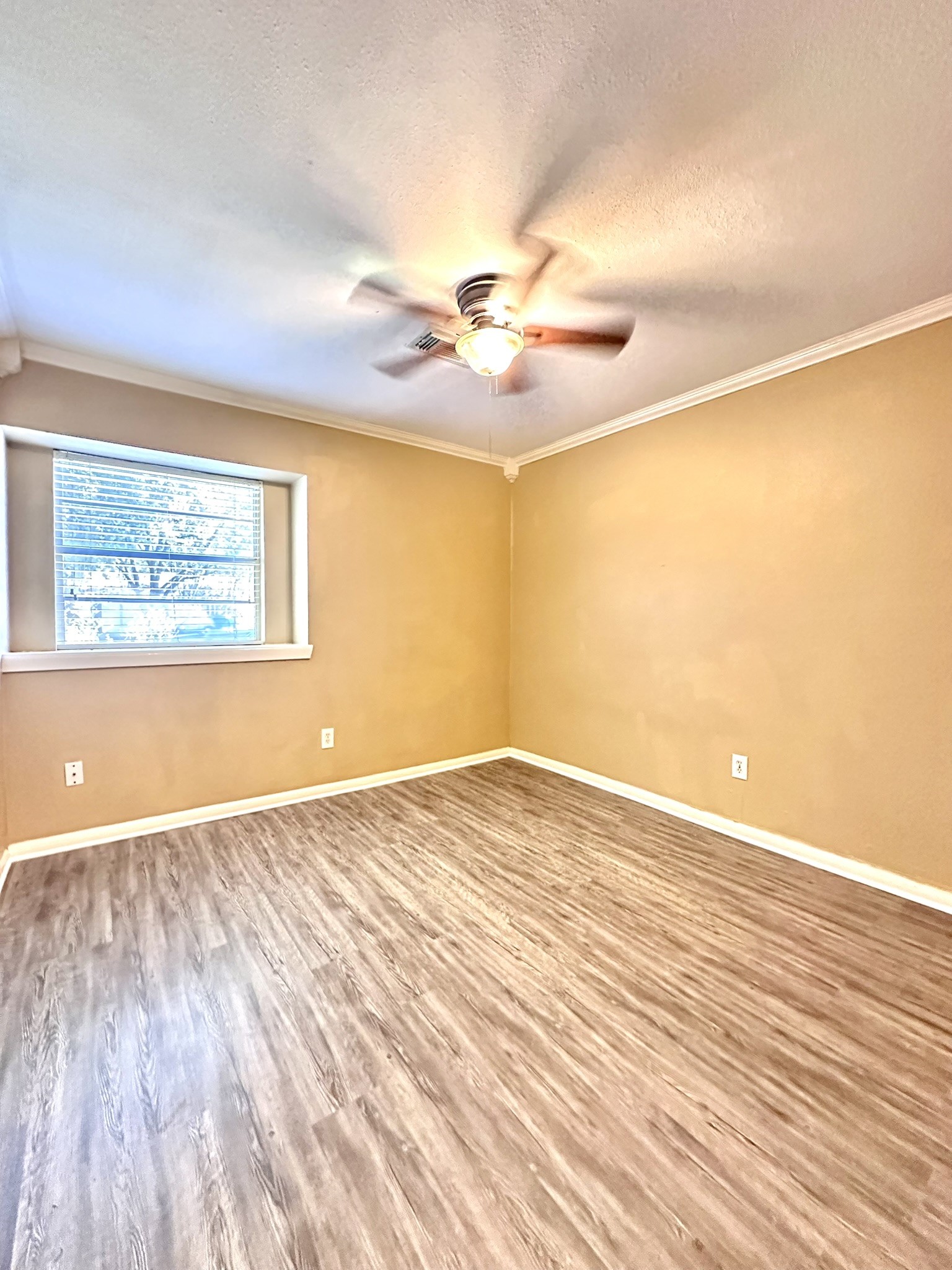 5830 Effingham Drive Property Photo 13