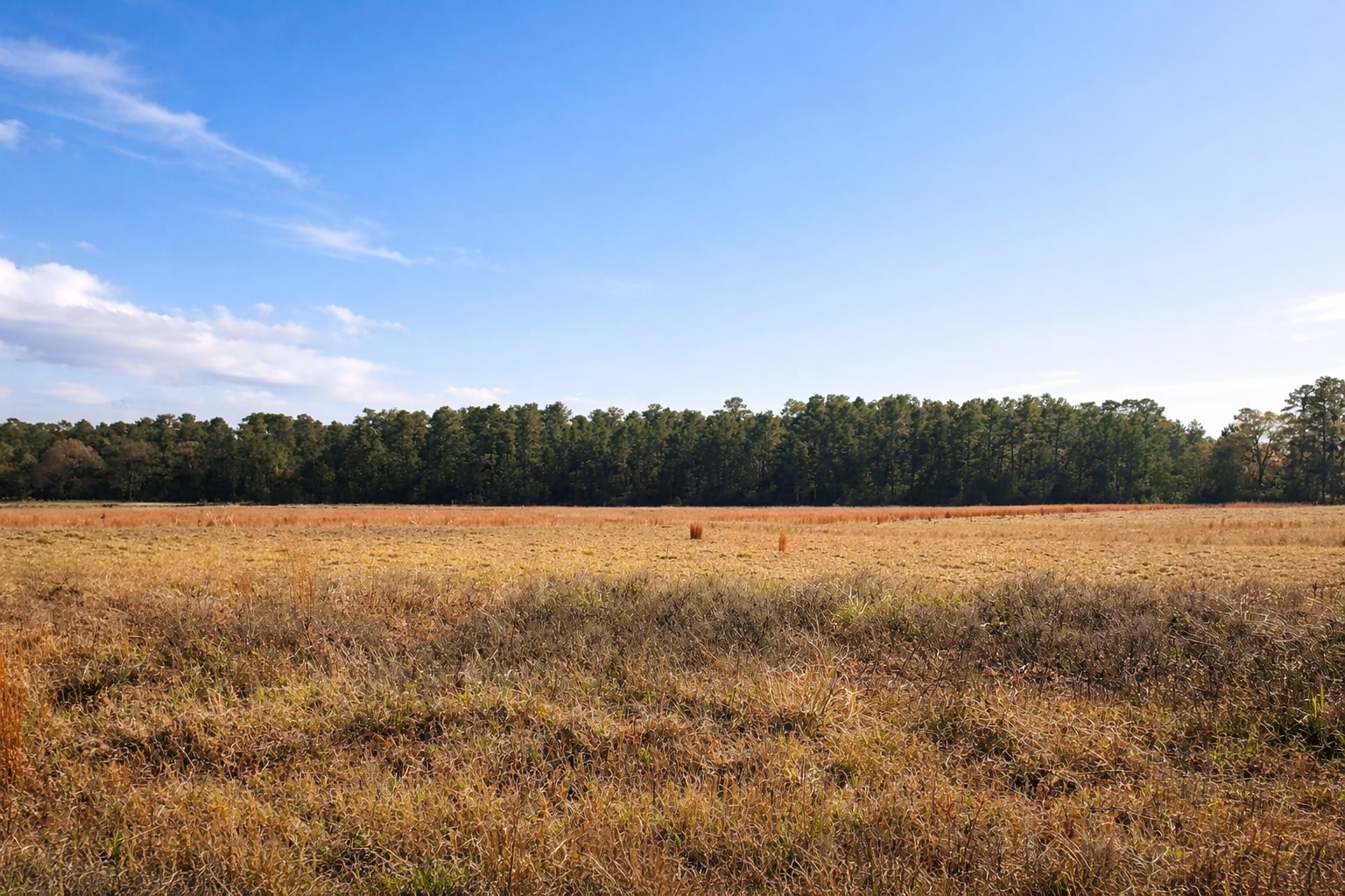 TBD Clearlake Lane Property Photo 1