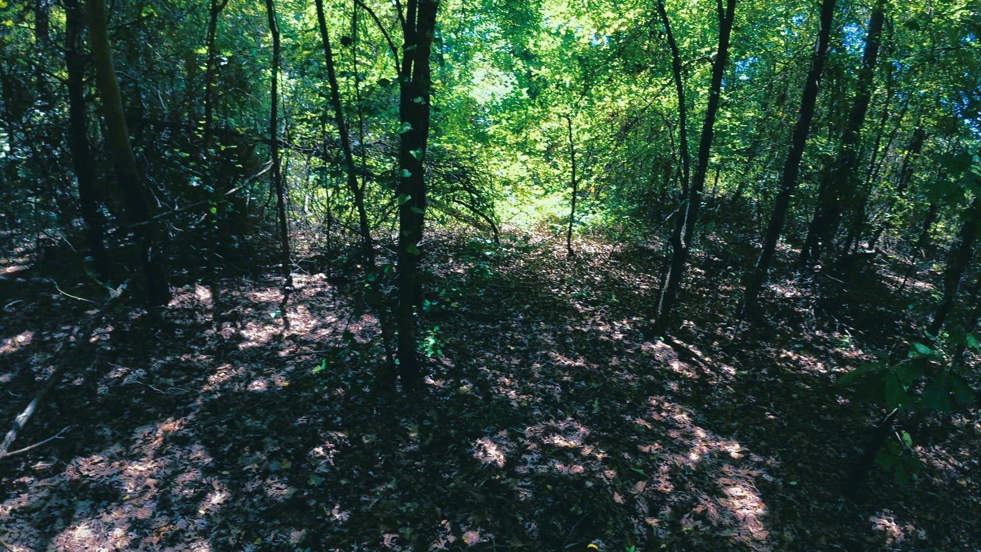 Tbd 40 Cr 4244 Property Photo 2